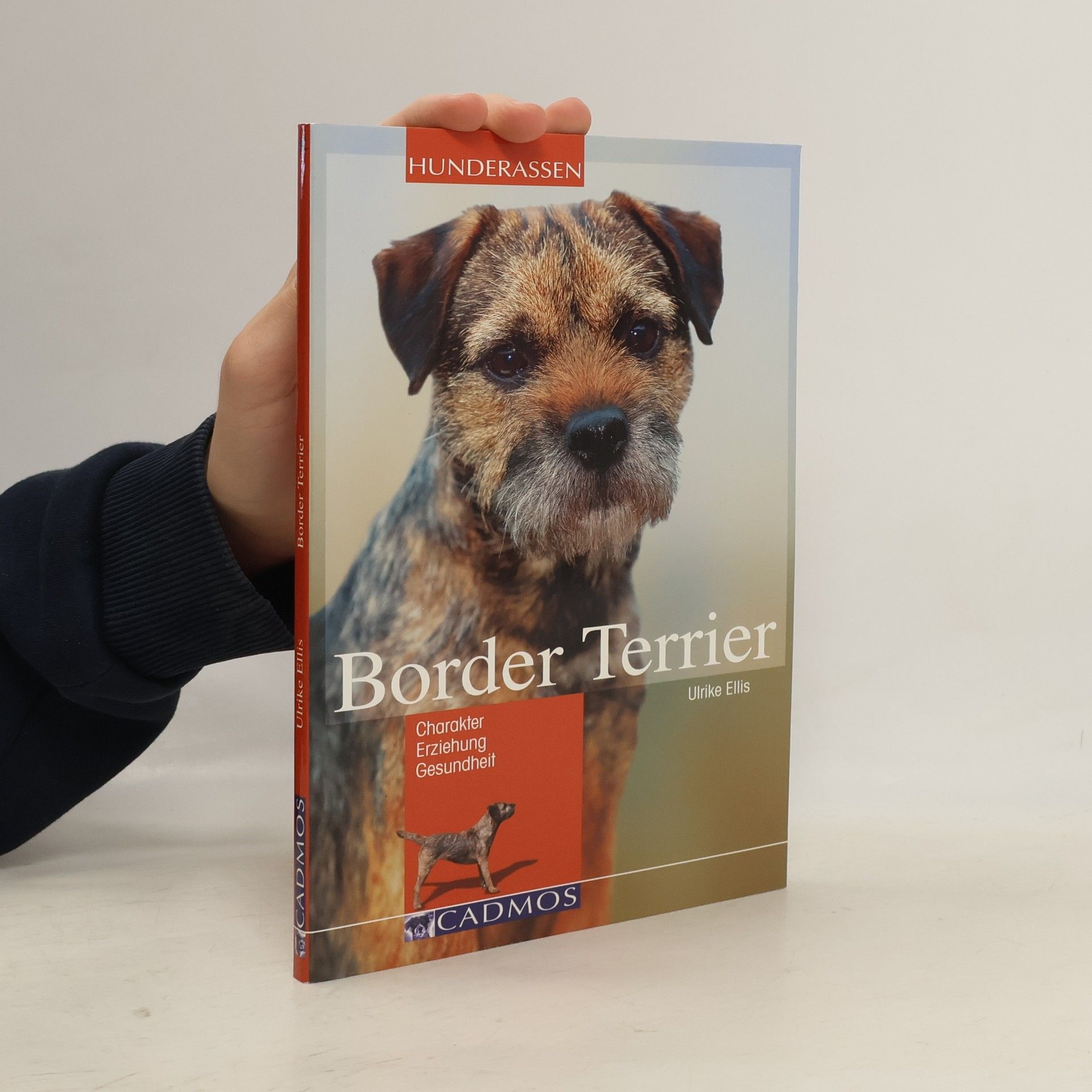 Ulrike Ellis Border-Terrier