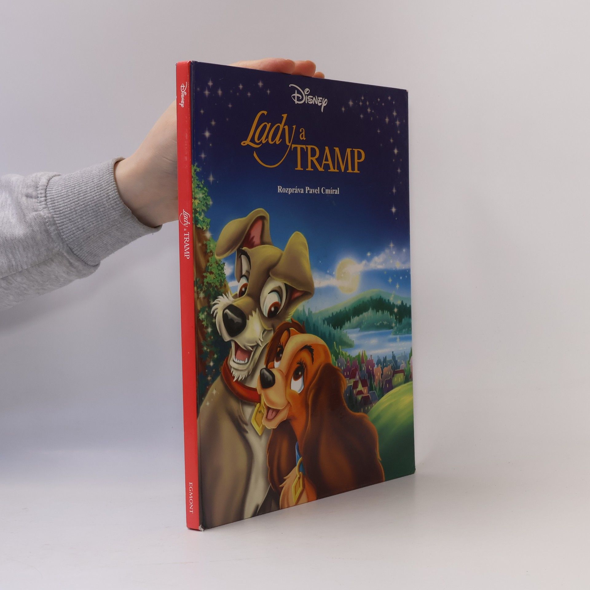 Collectif d'auteurs Lady a Tramp