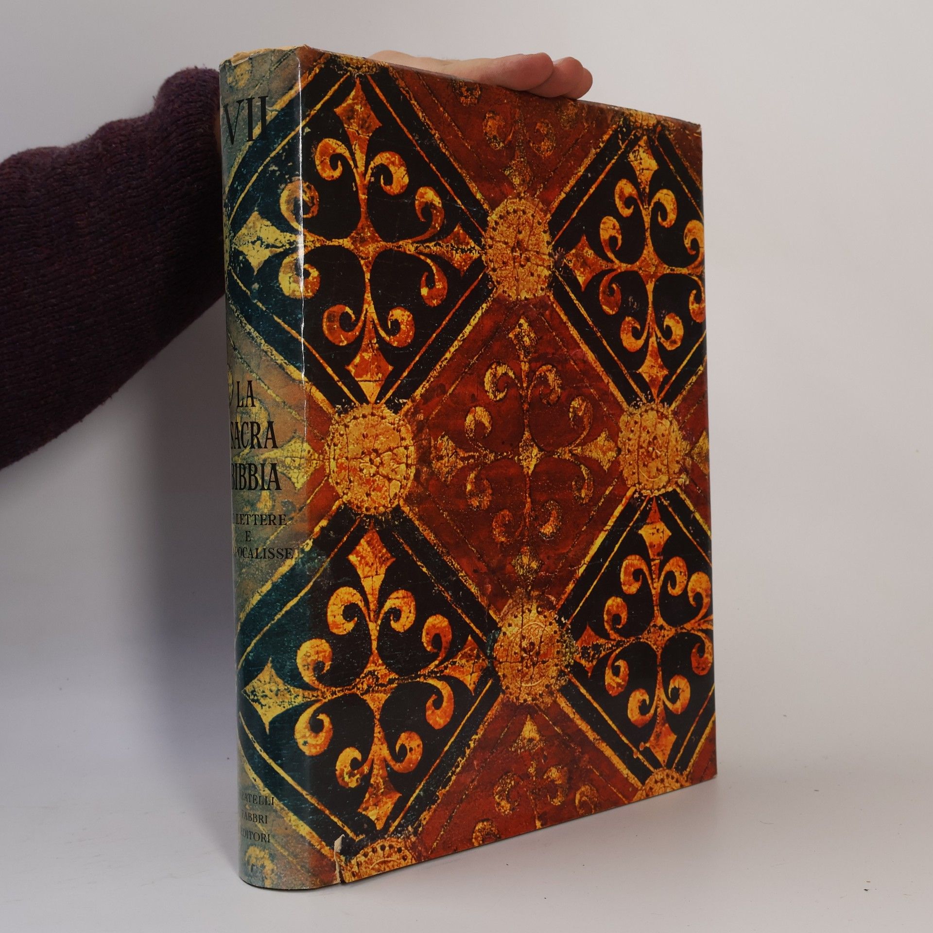 AA.VV. La Sacra Bibbia VII.