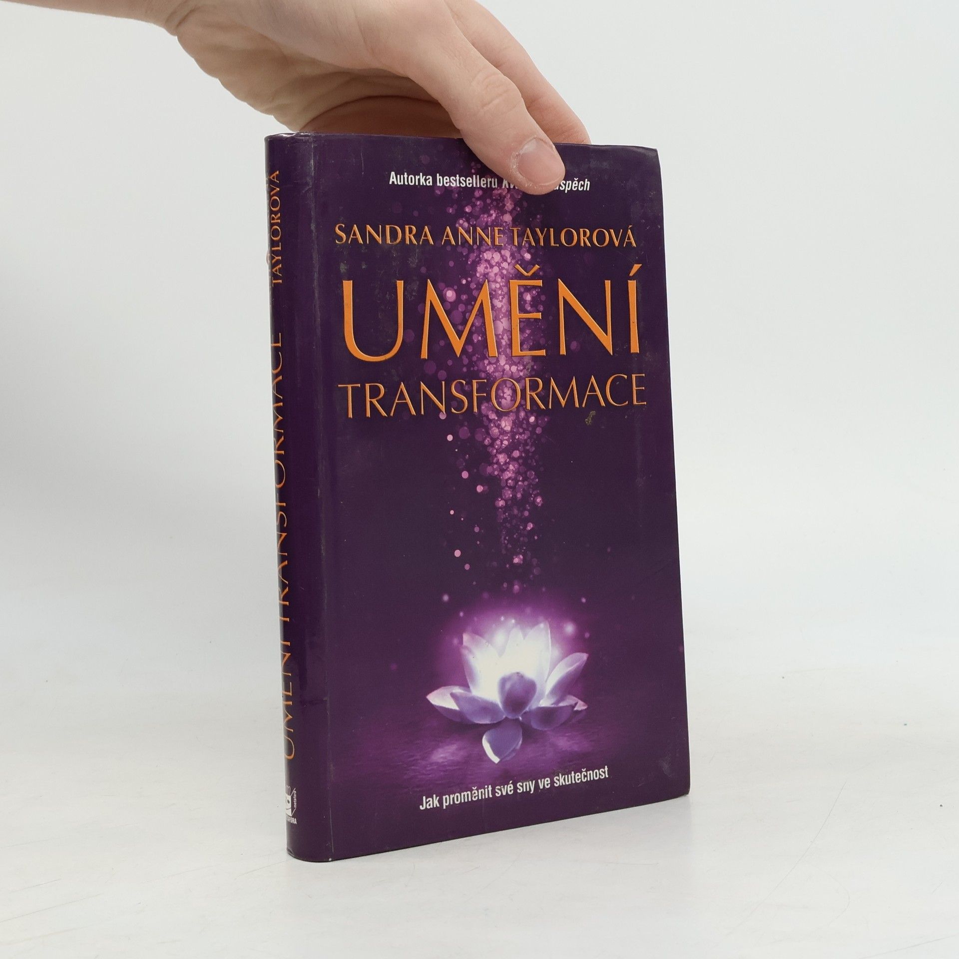Sandra Anne Taylor Umění transformace
