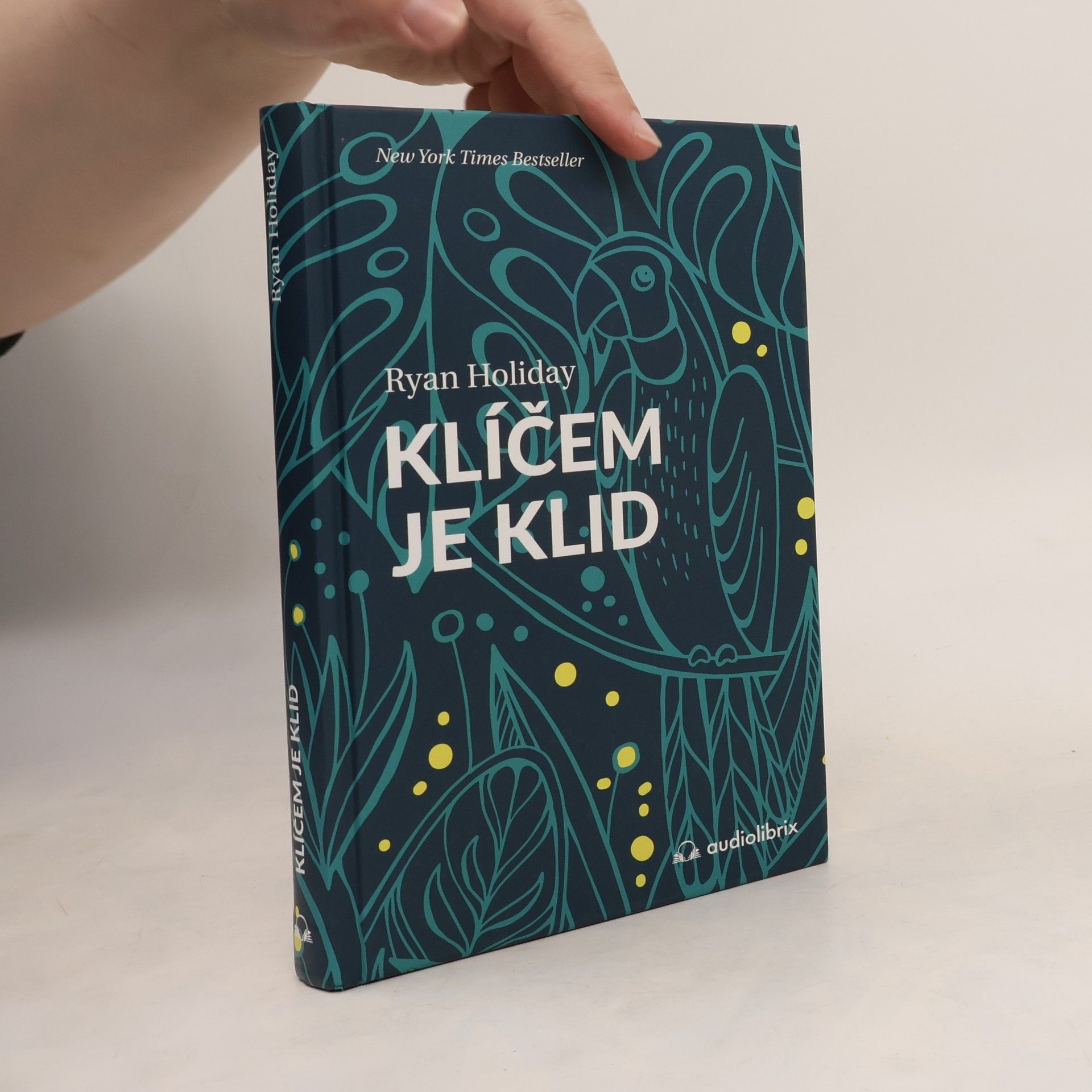 Ryan Holiday Klíčem je klid