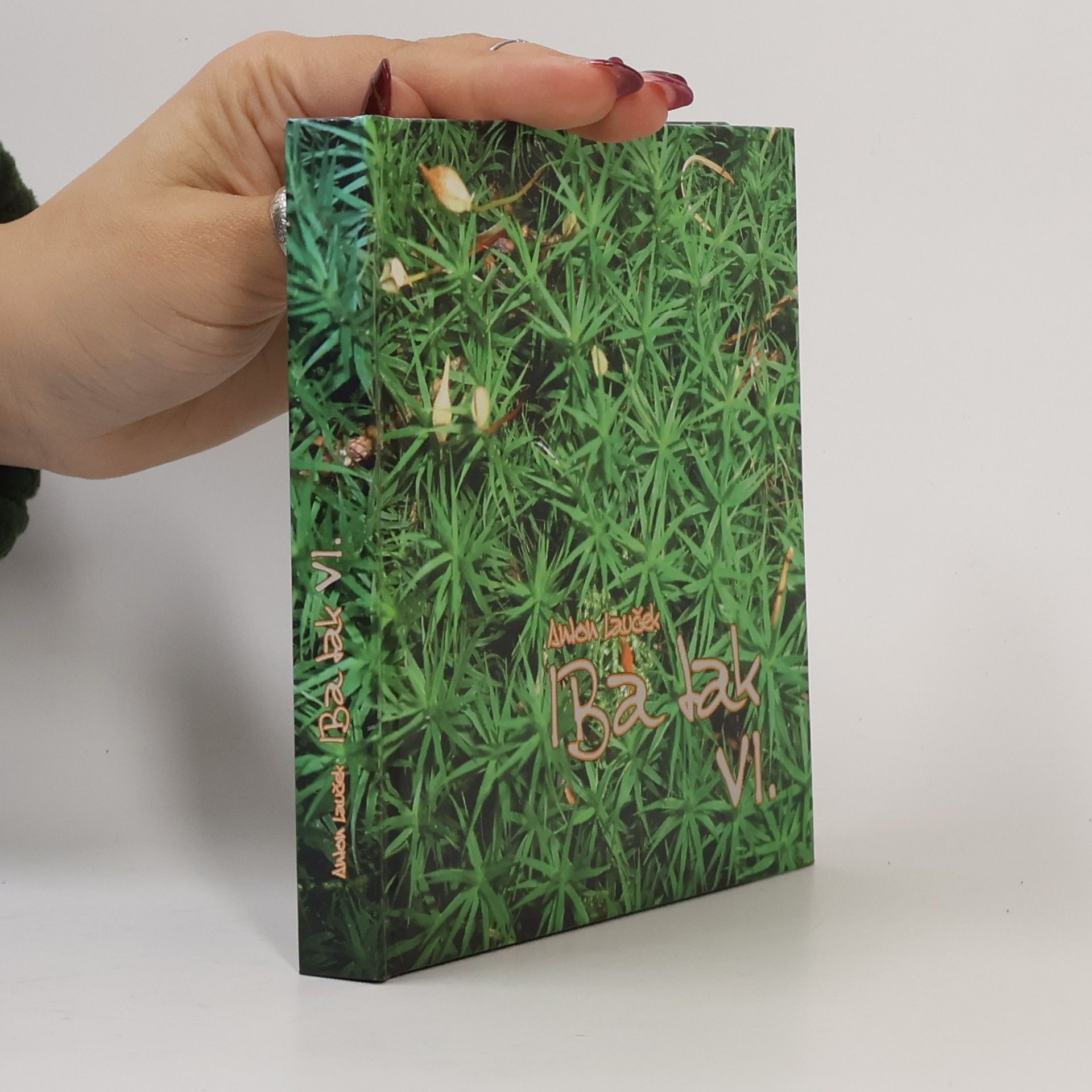 Anton Lauček Iba tak VI.