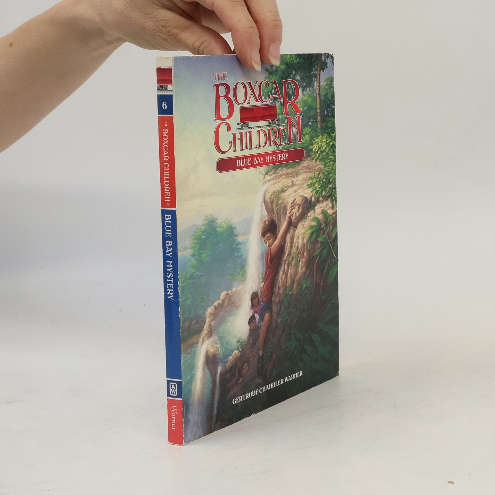 Gertrude Chandler Warner Blue Bay Mystery