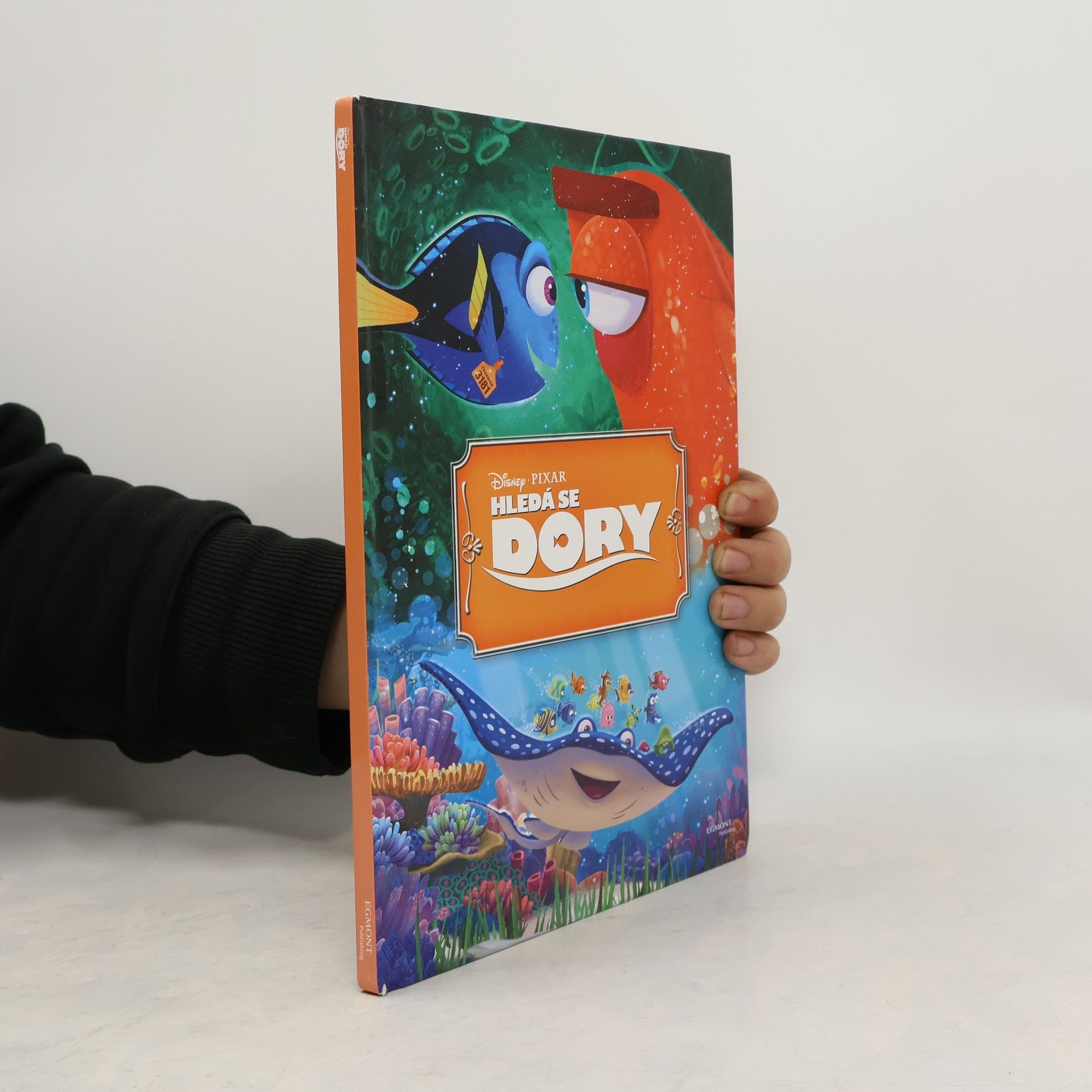 Autorenkollektiv Hledá se Dory