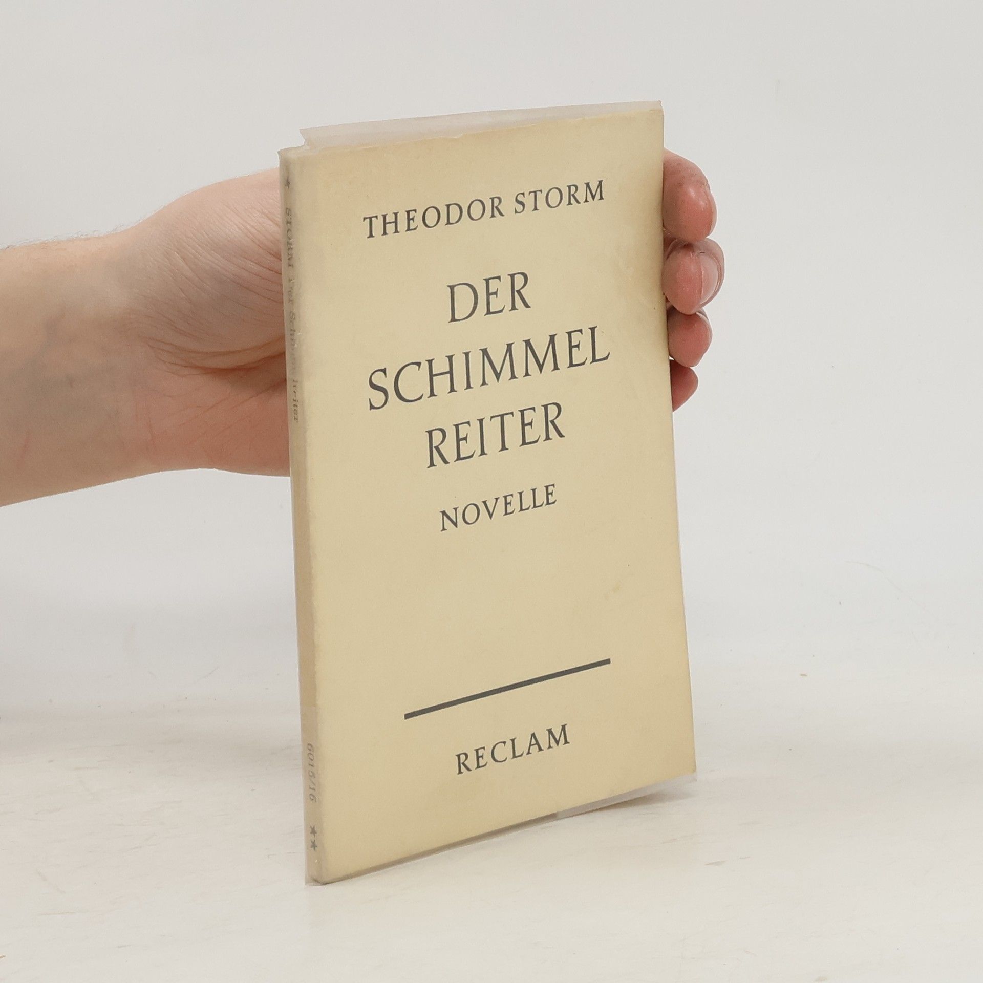 Theodor Storm Der schimmel Reiter
