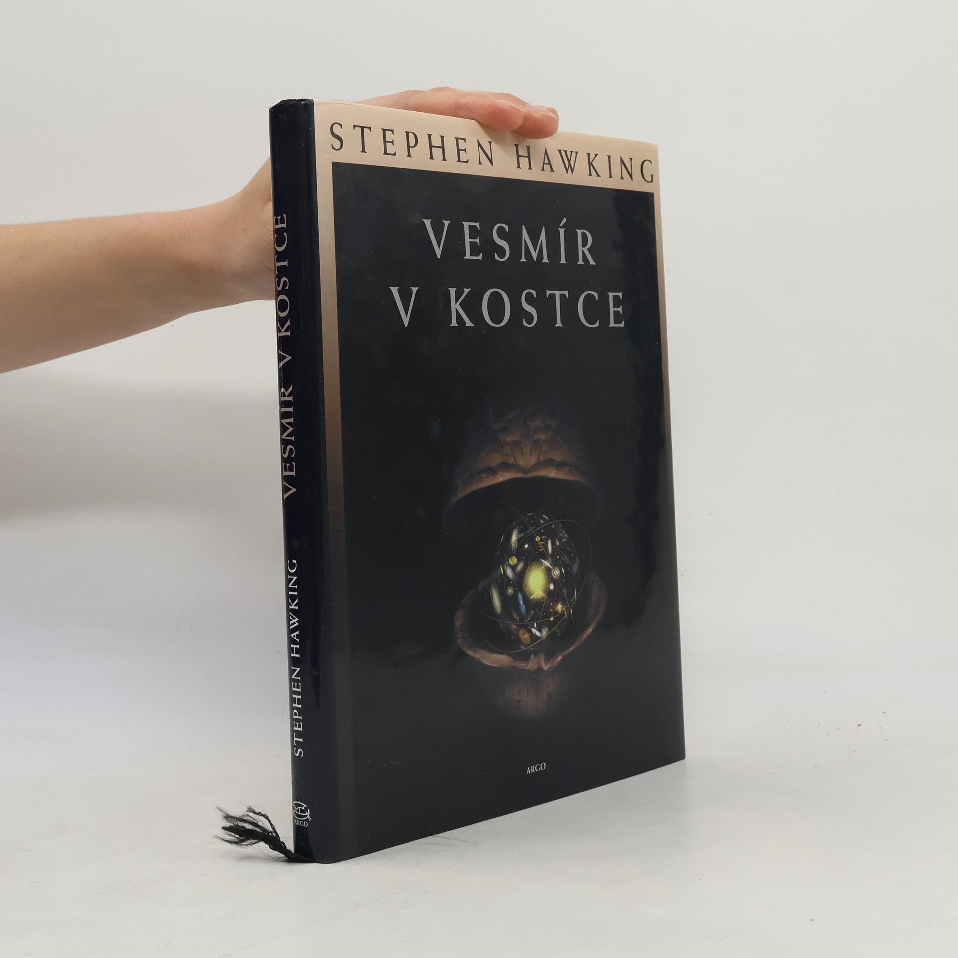 Stephen Hawking Vesmír v kostce