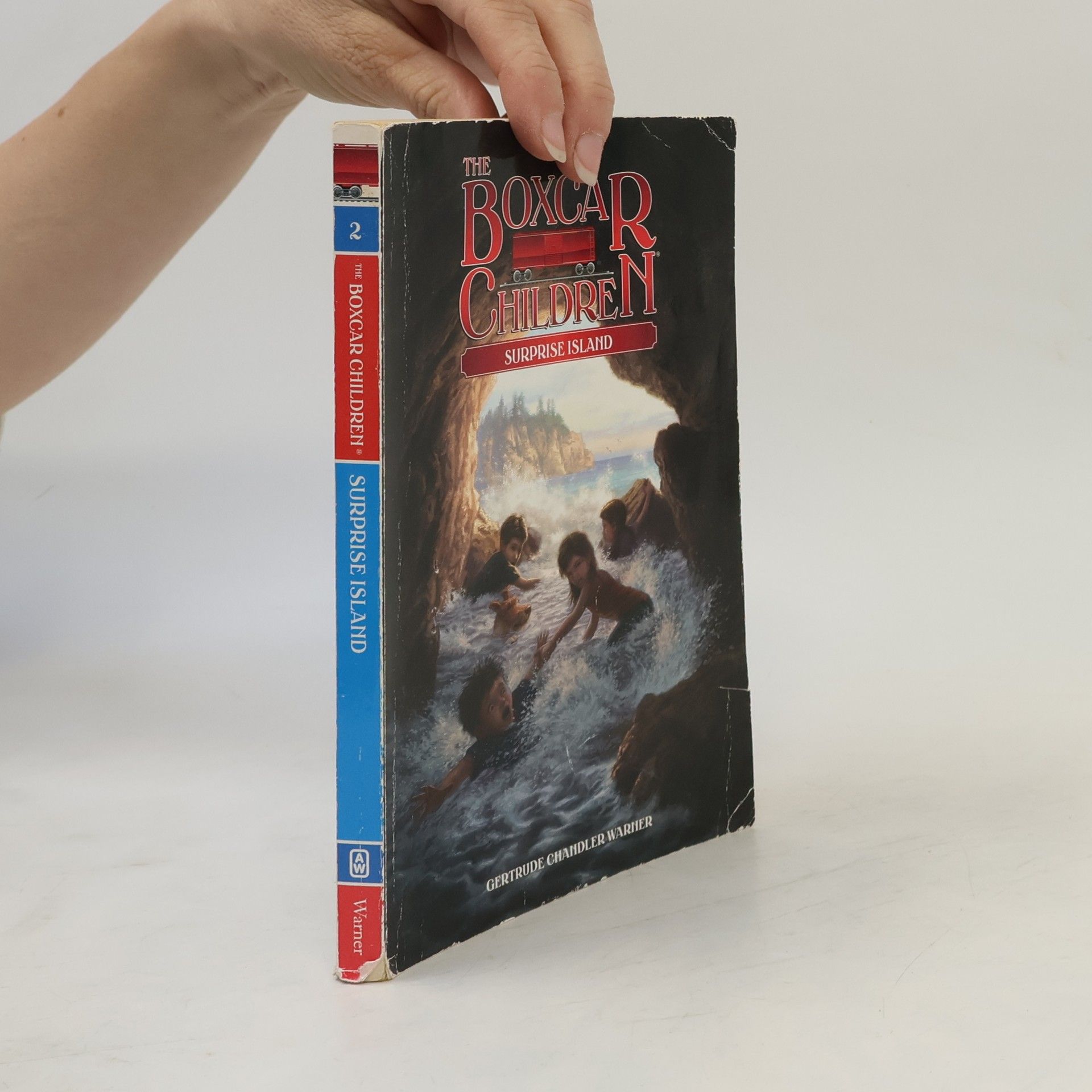 Gertrude Chandler Warner Surprise Island