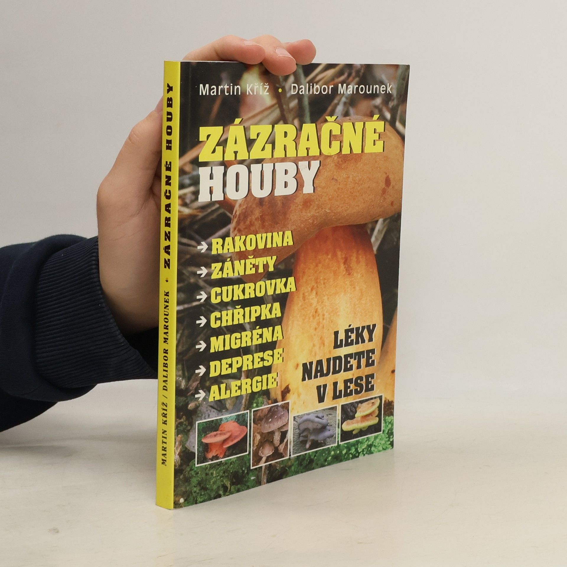 Martin Kříž Zázračné houby : rakovina, záněty, cukrovka, chřipka, migréna, deprese, alergie : léky najdete v lese