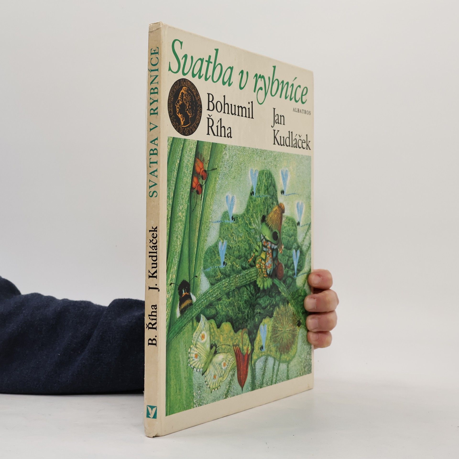 Bohumil Říha Svatba v rybníce