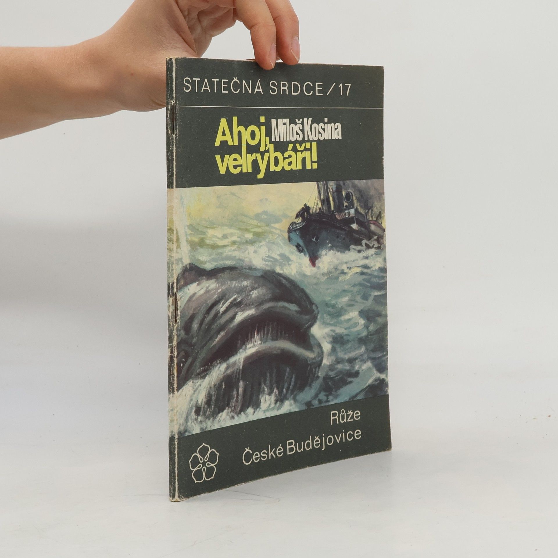 Miloš Kosina Ahoj, velrybáři! Statečná srdce 17