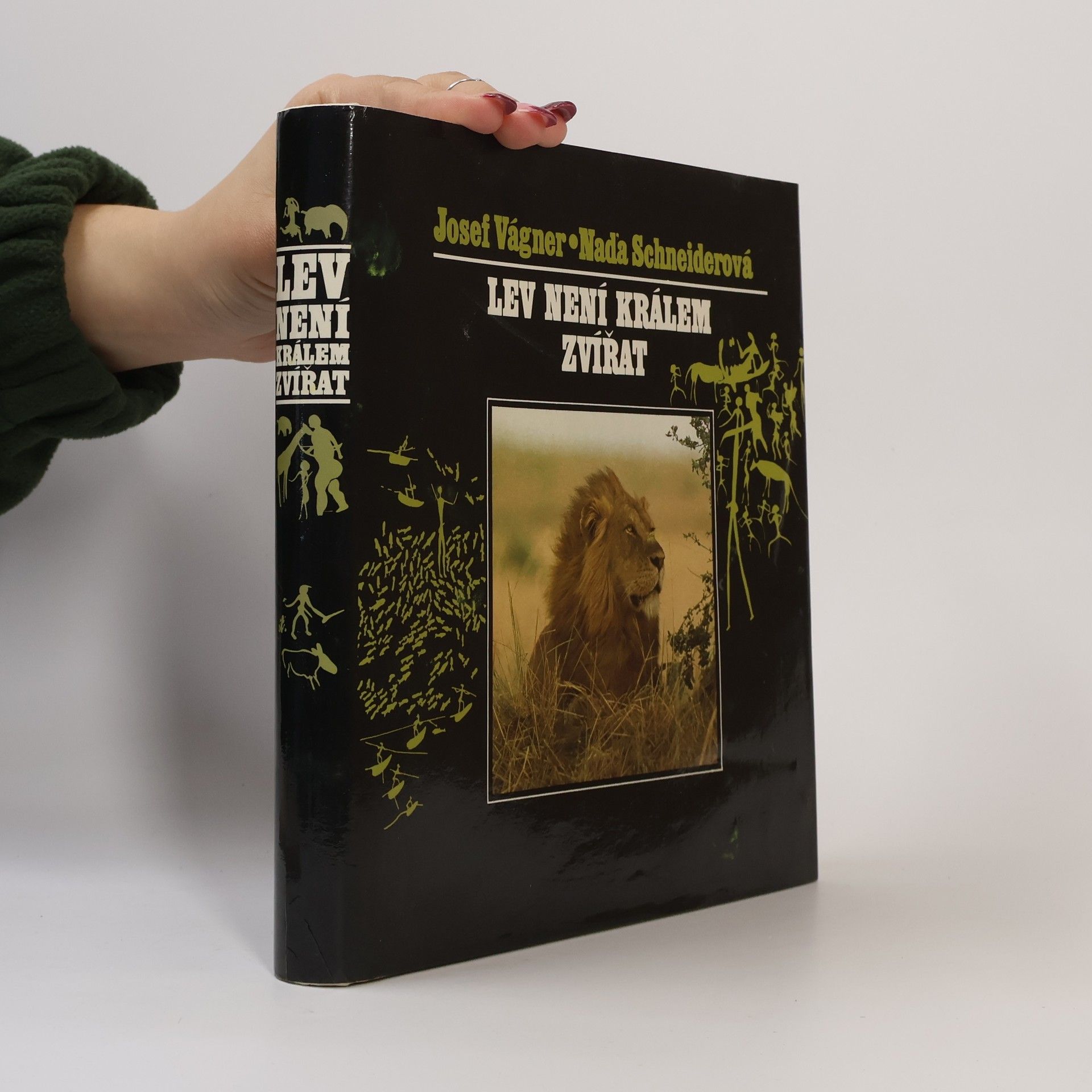 Lev není králem zvířat