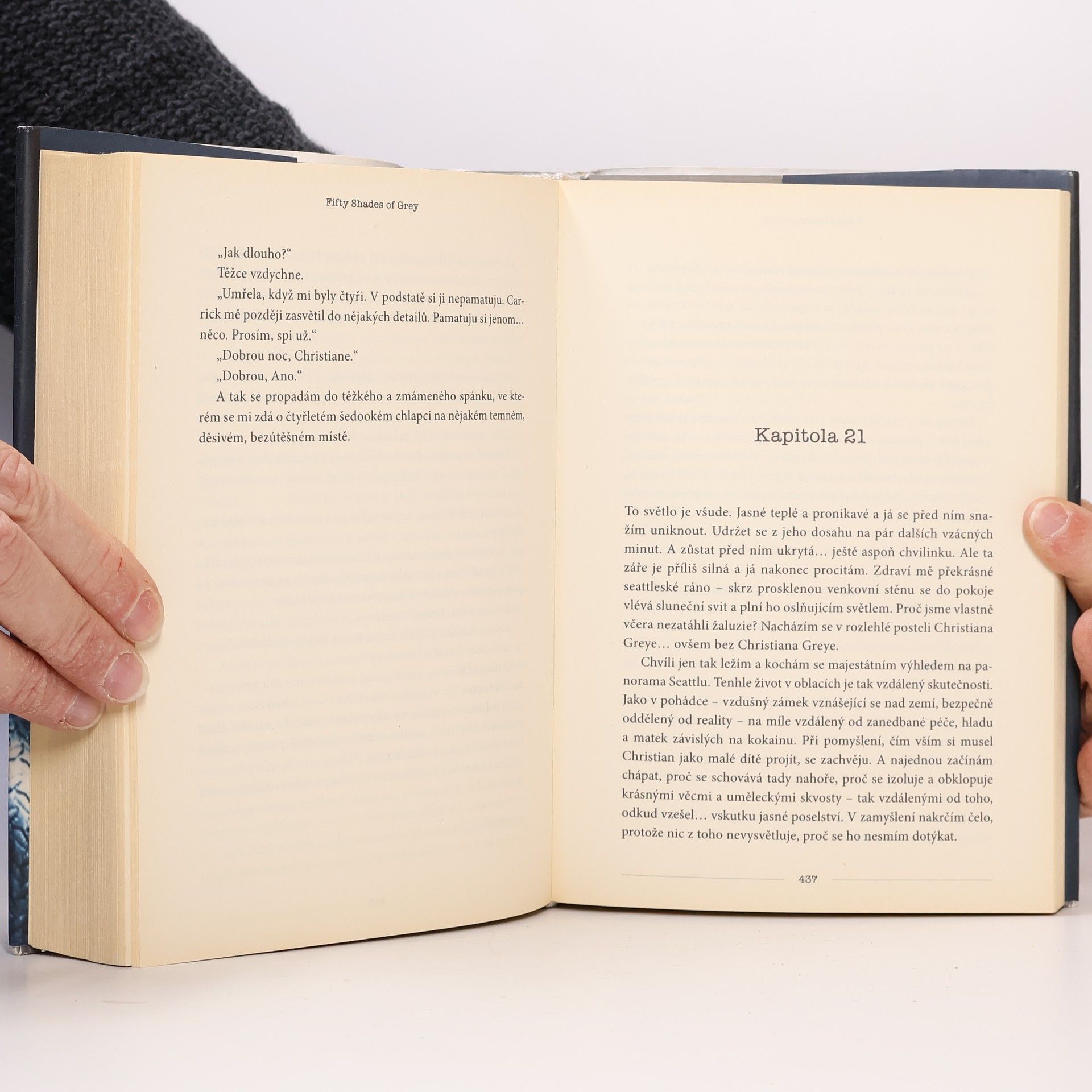 E. L. James Padesát odstínů šedi