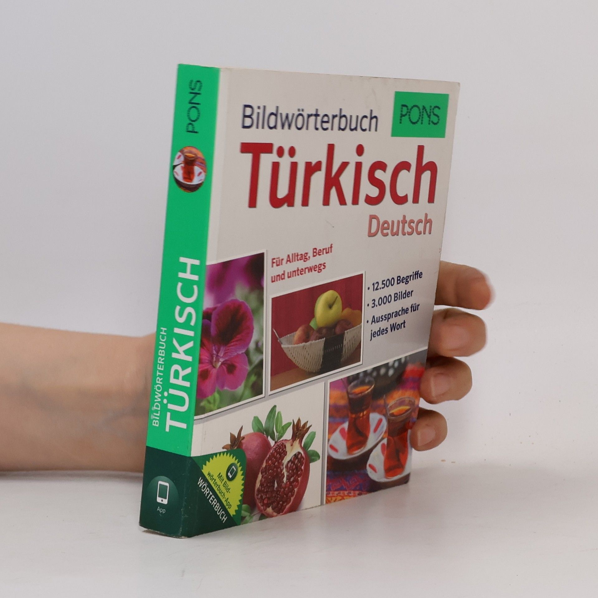 AA.VV. PONS Bildwörterbuch Türkisch-Deutsch