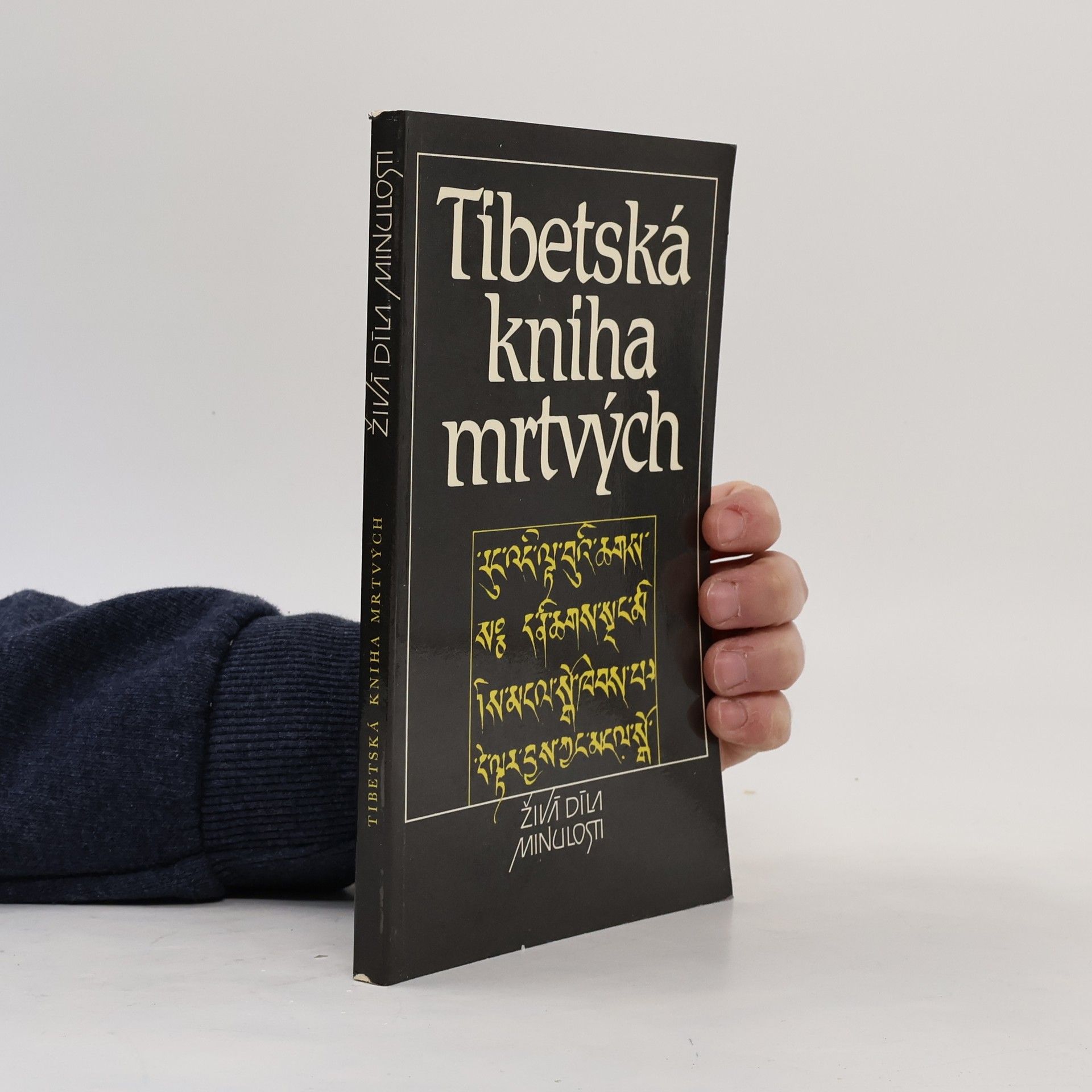 Kolektív autorov Tibetská kniha mrtvých