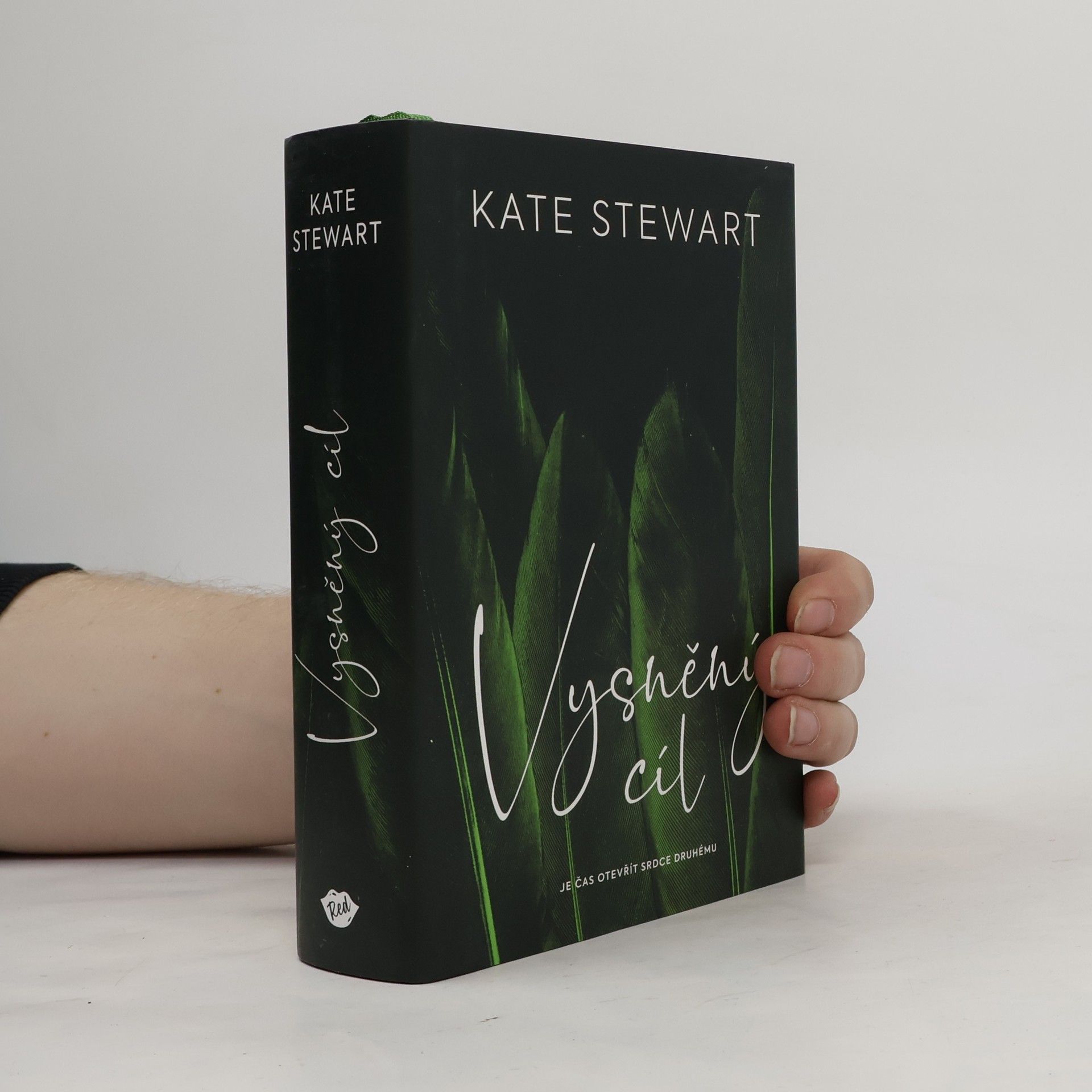 Kate Stewart Vysněný cíl. Kniha třetí