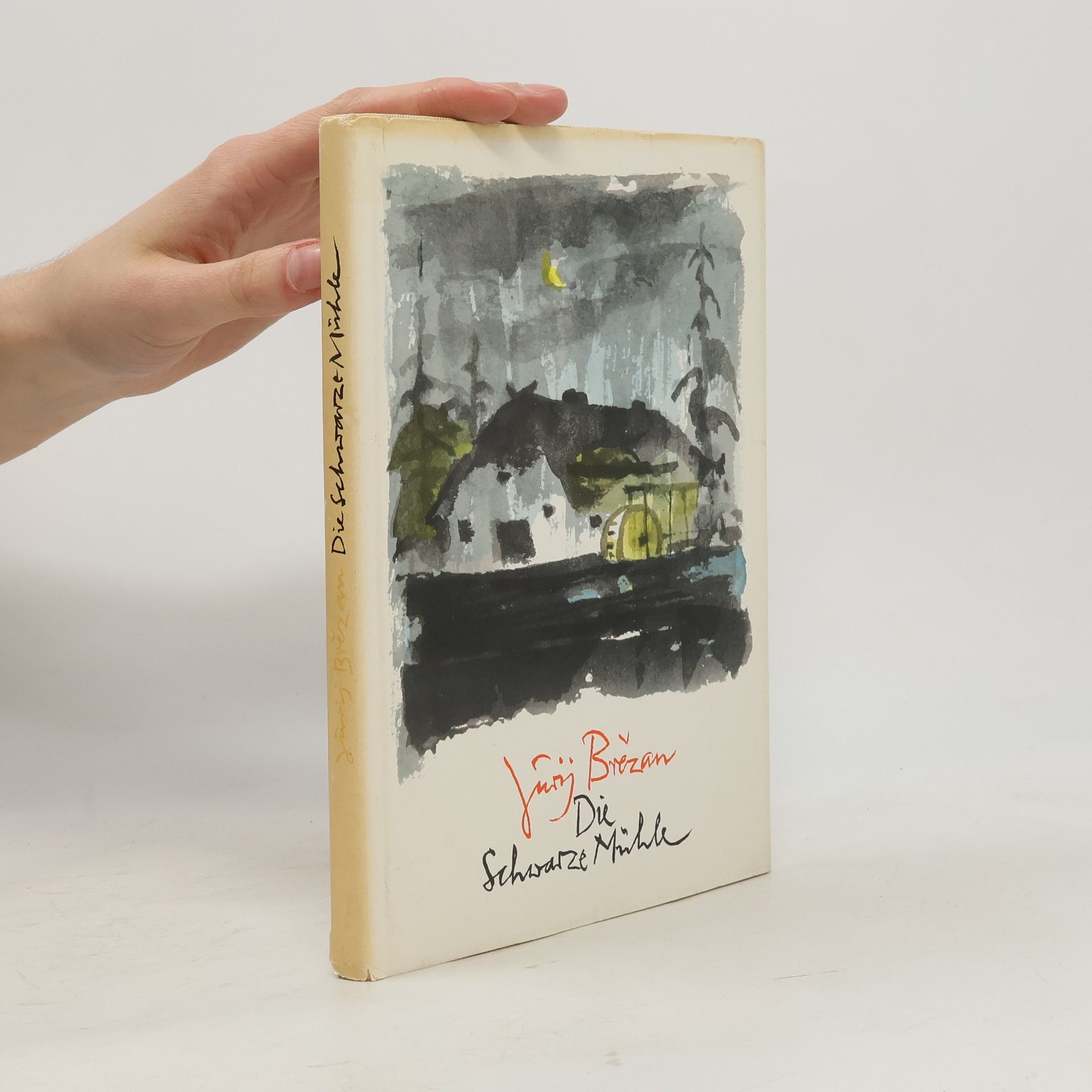 Jurij Brězan Die schwarze Mühle
