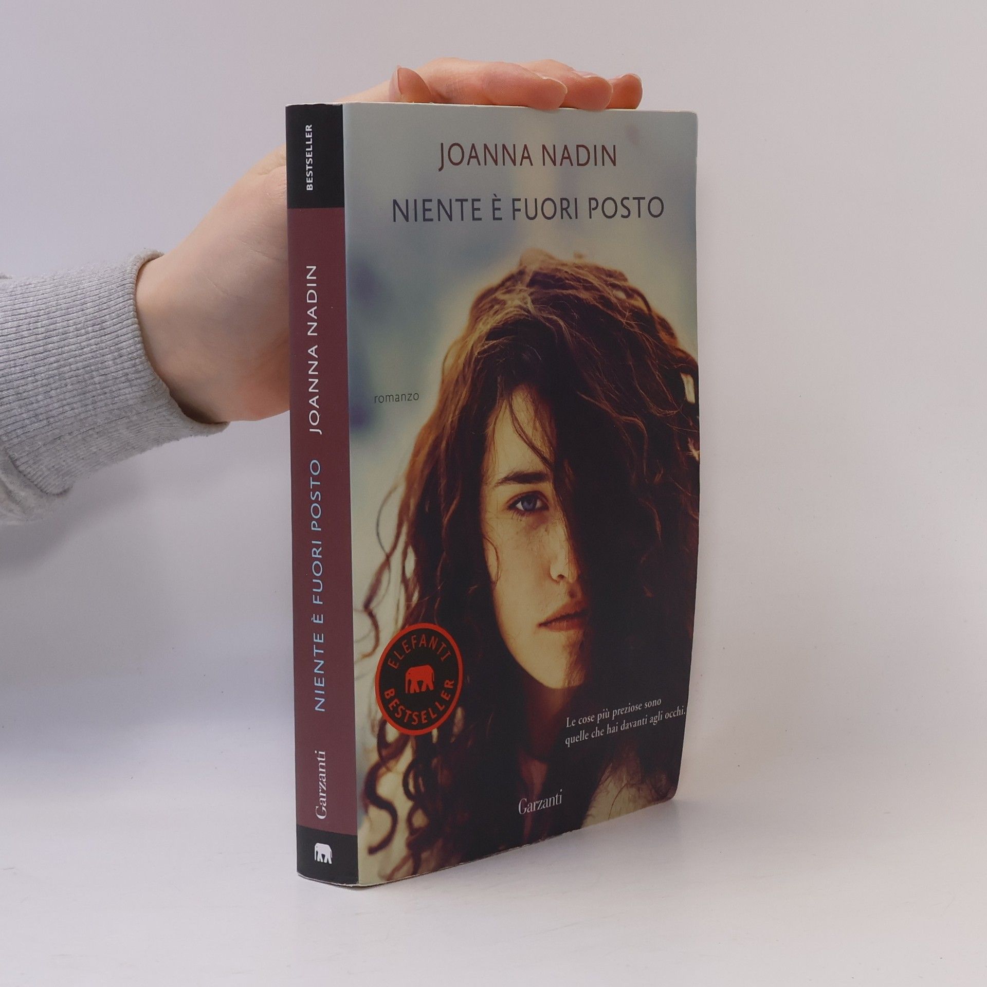 Joanna Nadin Elefanti Bestseller: Niente è fuori posto