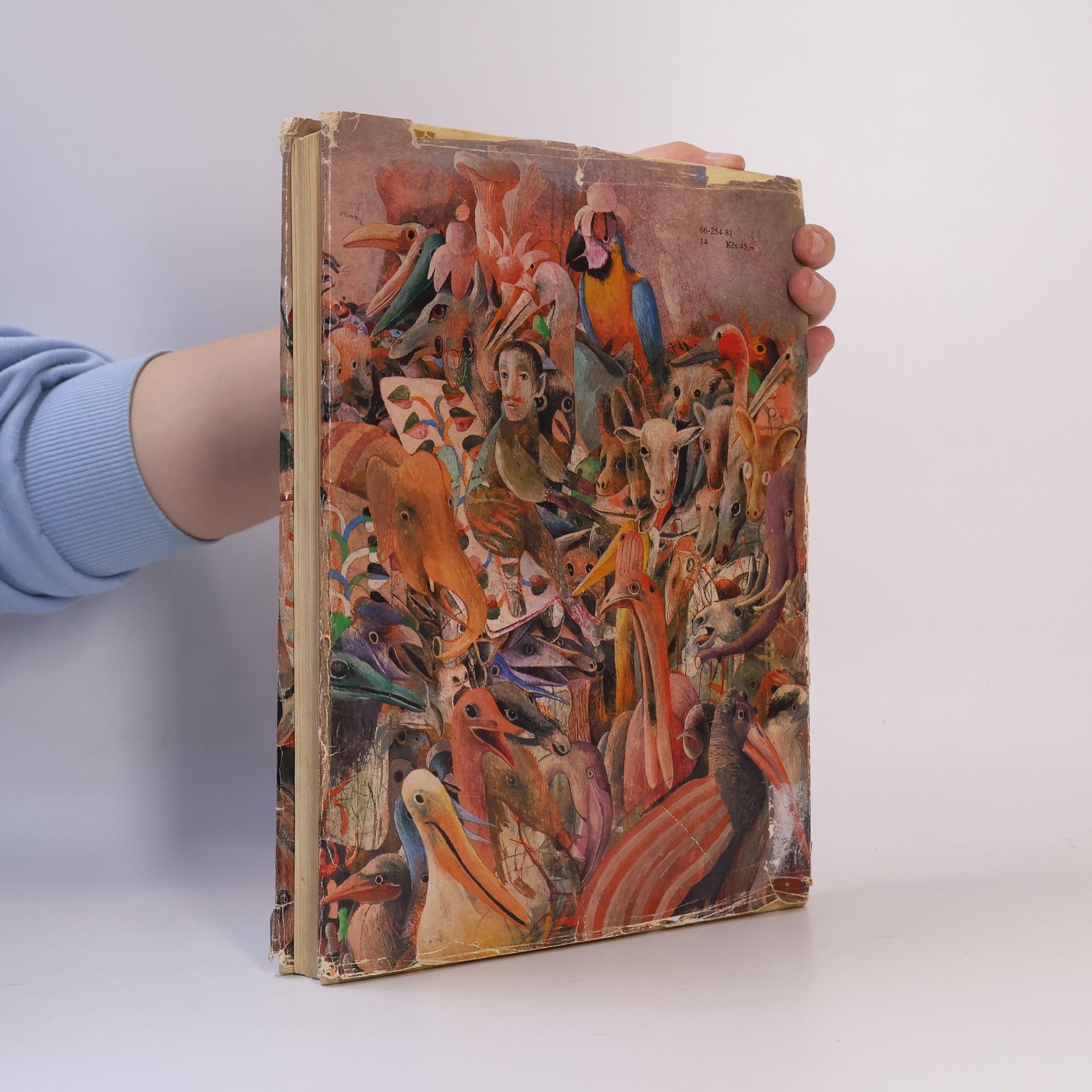 Lewis Carroll Alica v krajine zázrakov