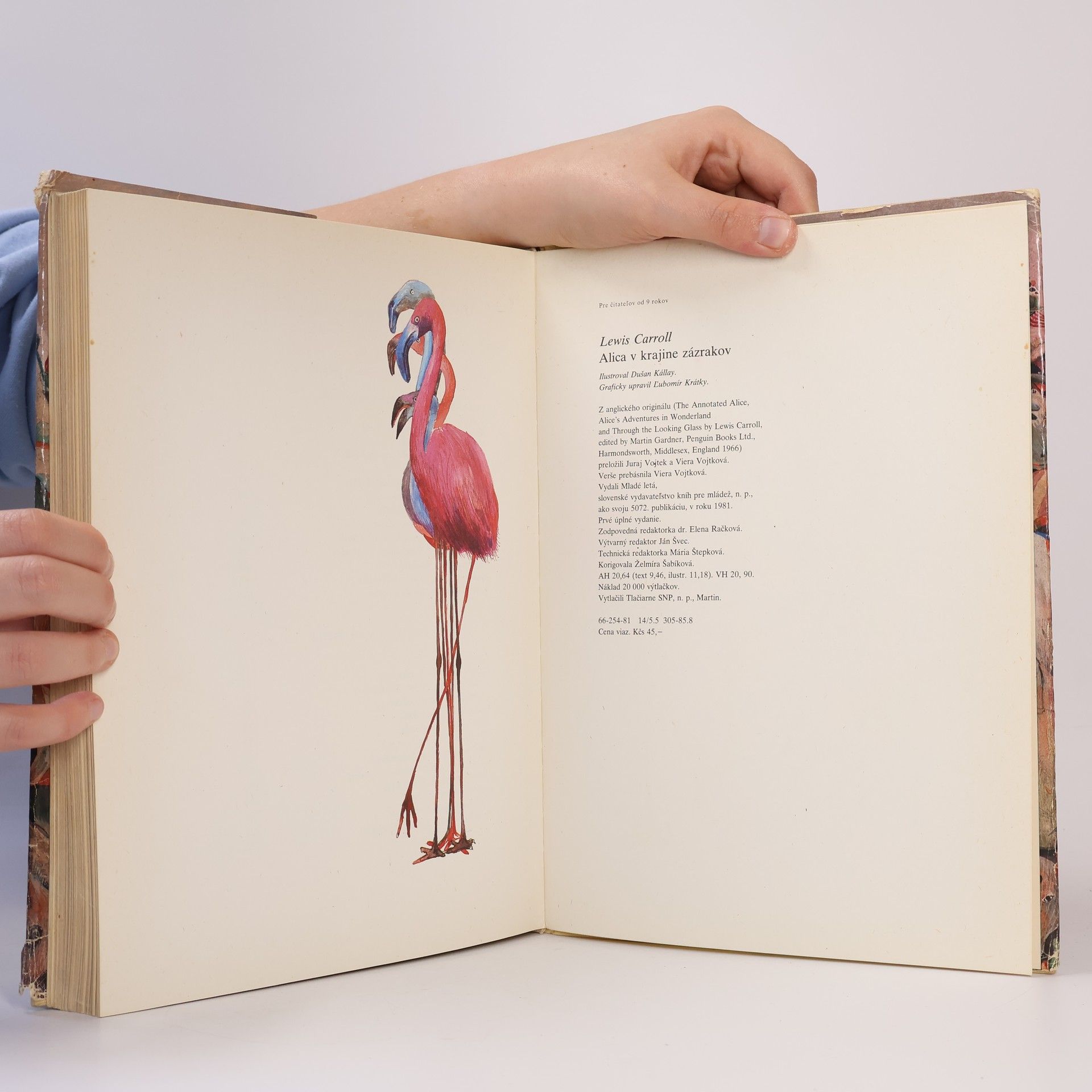 Lewis Carroll Alica v krajine zázrakov
