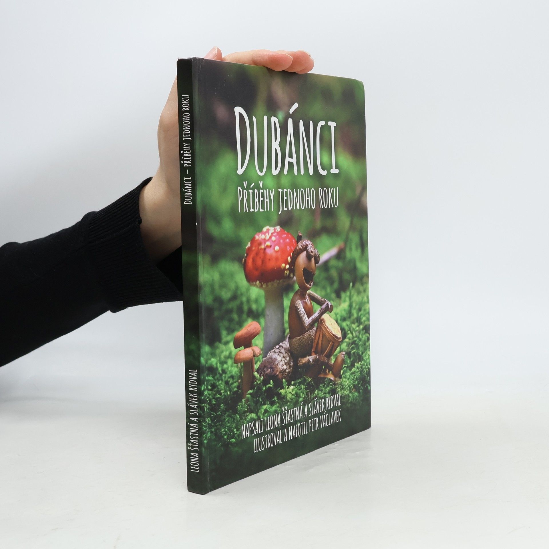 Dubánci: Příběhy jednoho roku