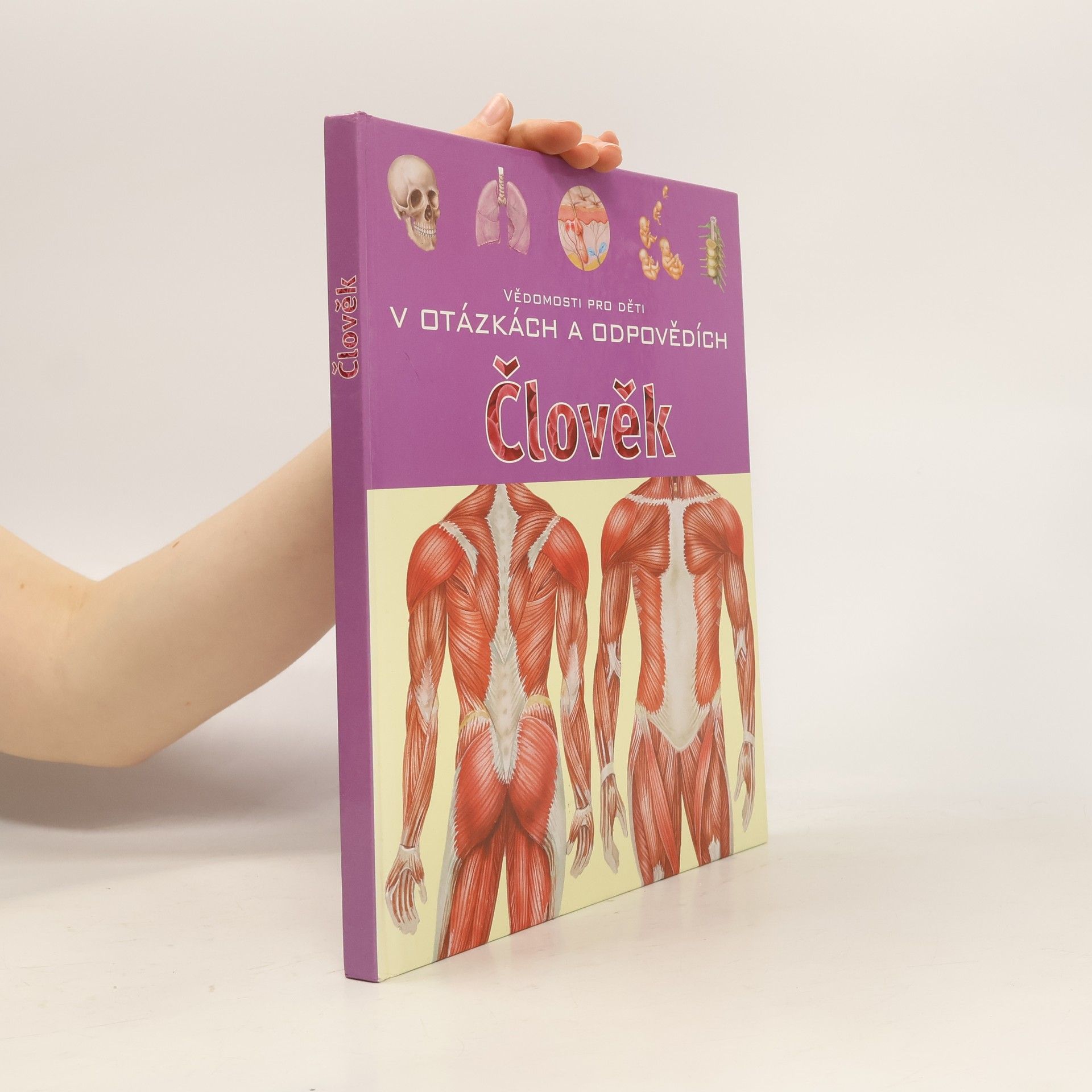 Mirka Slámová Člověk