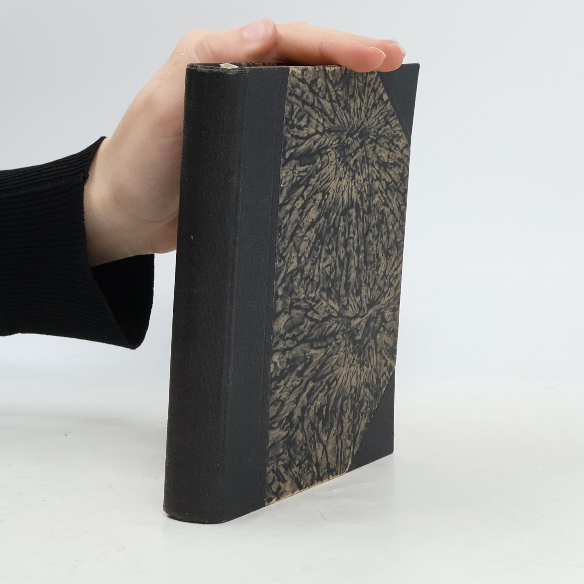 Spisy Karla Hynka Máchy I.