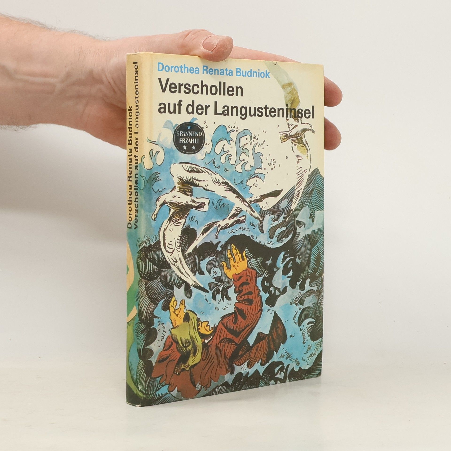 Dorothea Renata Budniok Verschollen auf der Langusteninsel