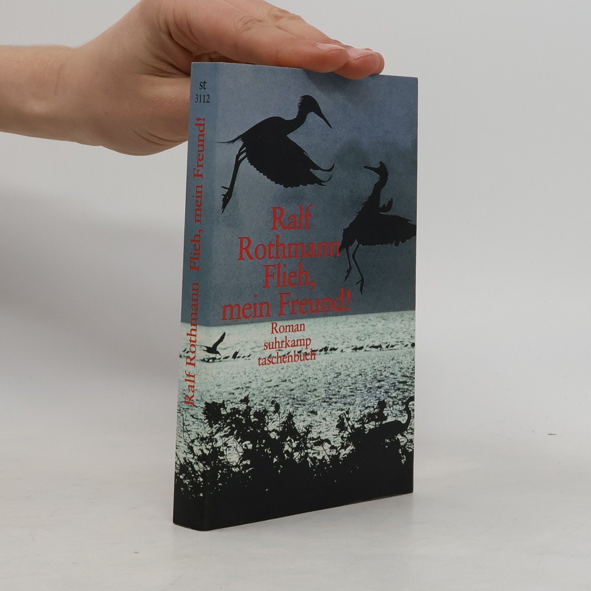 Ralf Rothmann Flieh, mein Freund!
