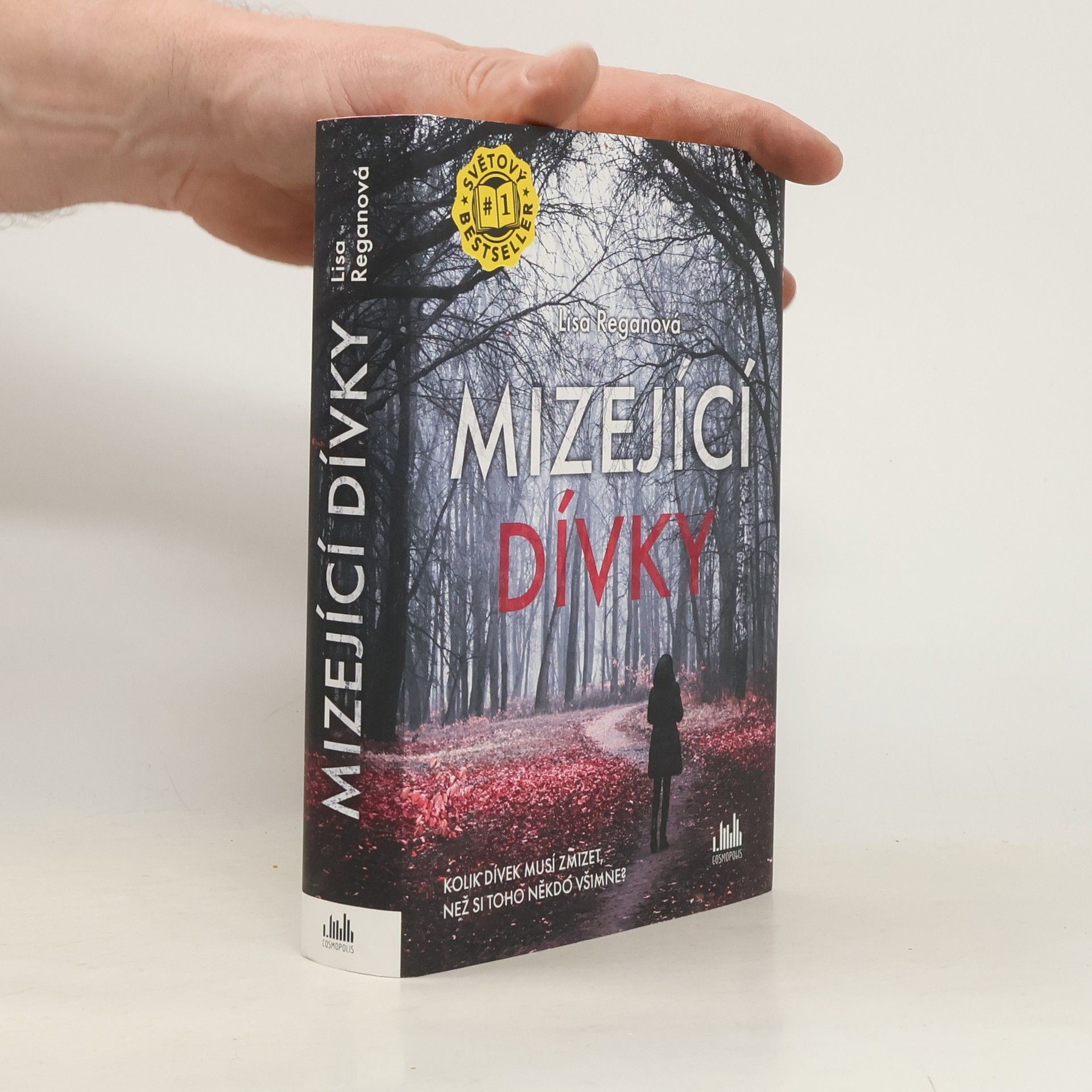 Lisa Regan Mizející dívky