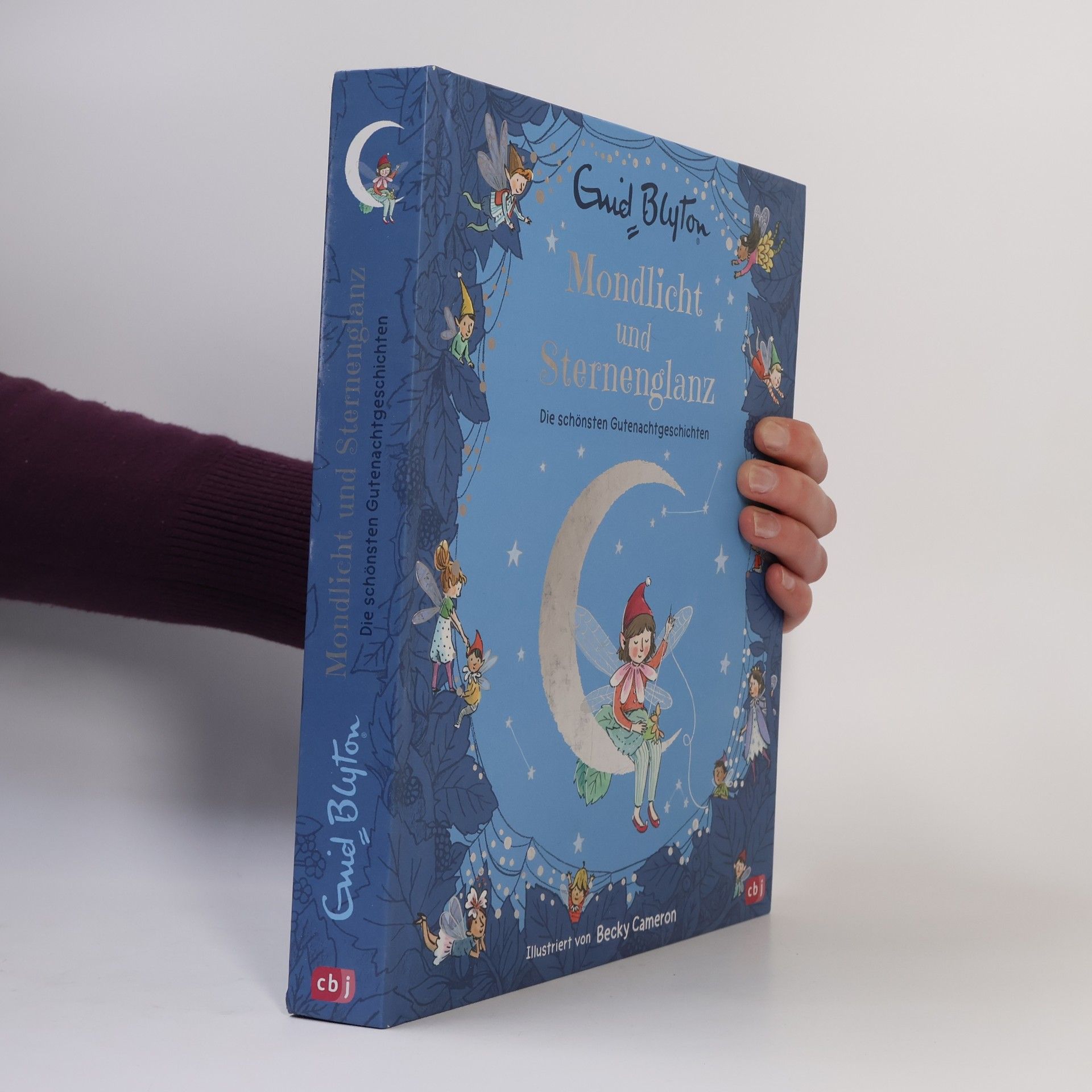 Enid Blyton Mondlicht und Sternenglanz - Die schönsten Gutenachtgeschichten