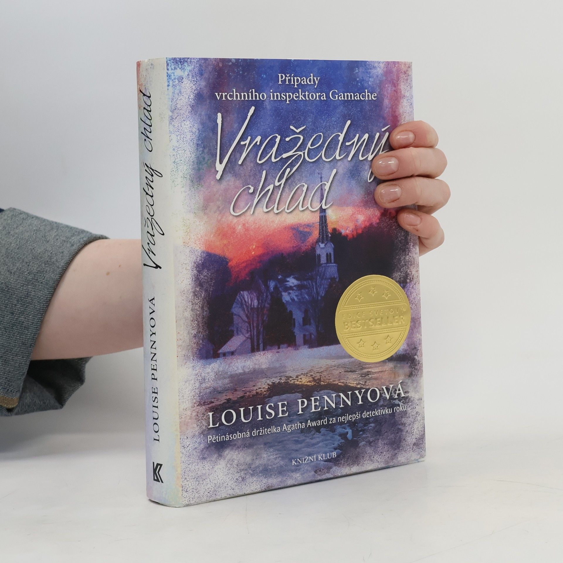 Louise Penny Vražedný chlad