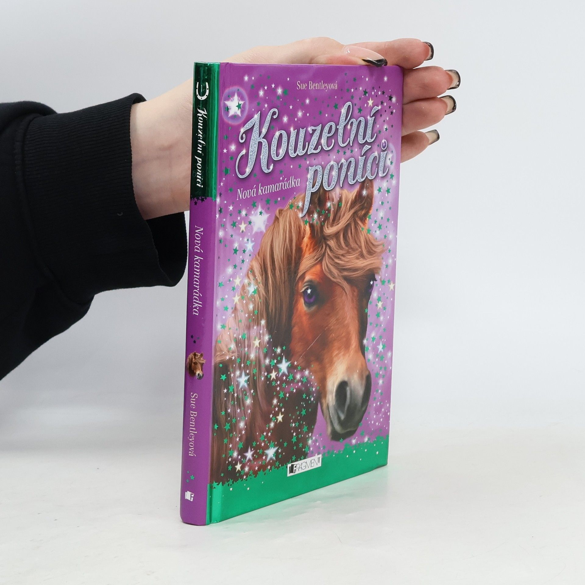 Sue Bentley Nová kamarádka