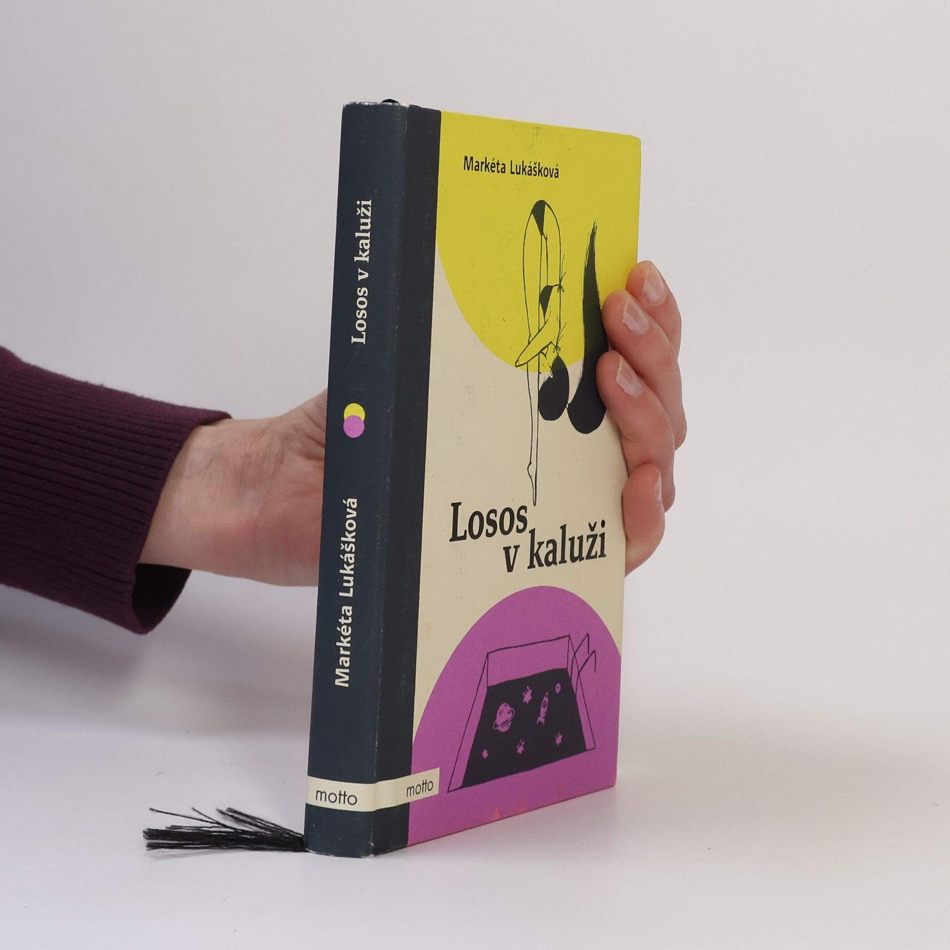 Markéta Lukášková Losos v kaluži