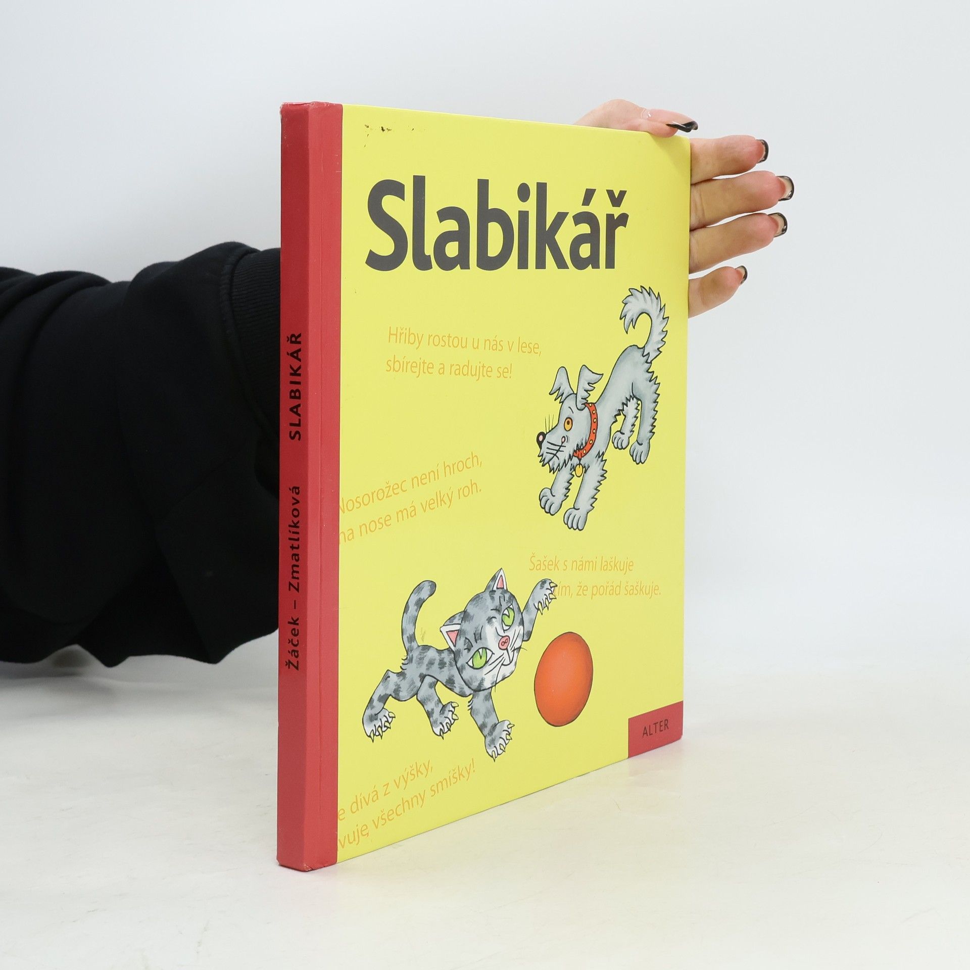 Jiří Žáček Slabikář : učebnice pro vzdělávací obor Český jazyk a literatura