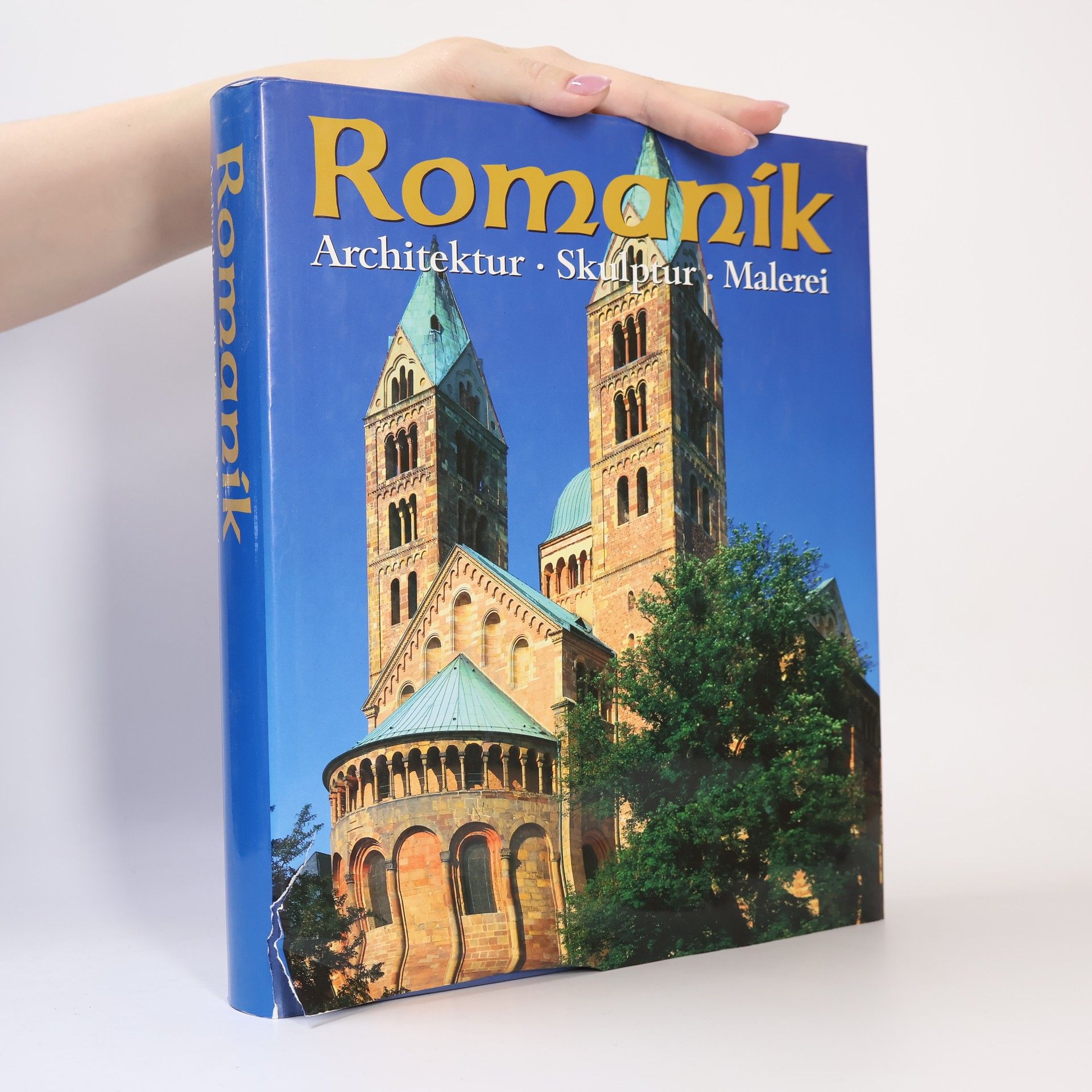 Collectif d'auteurs Romanik: Architektur, Skulptur, Malerei