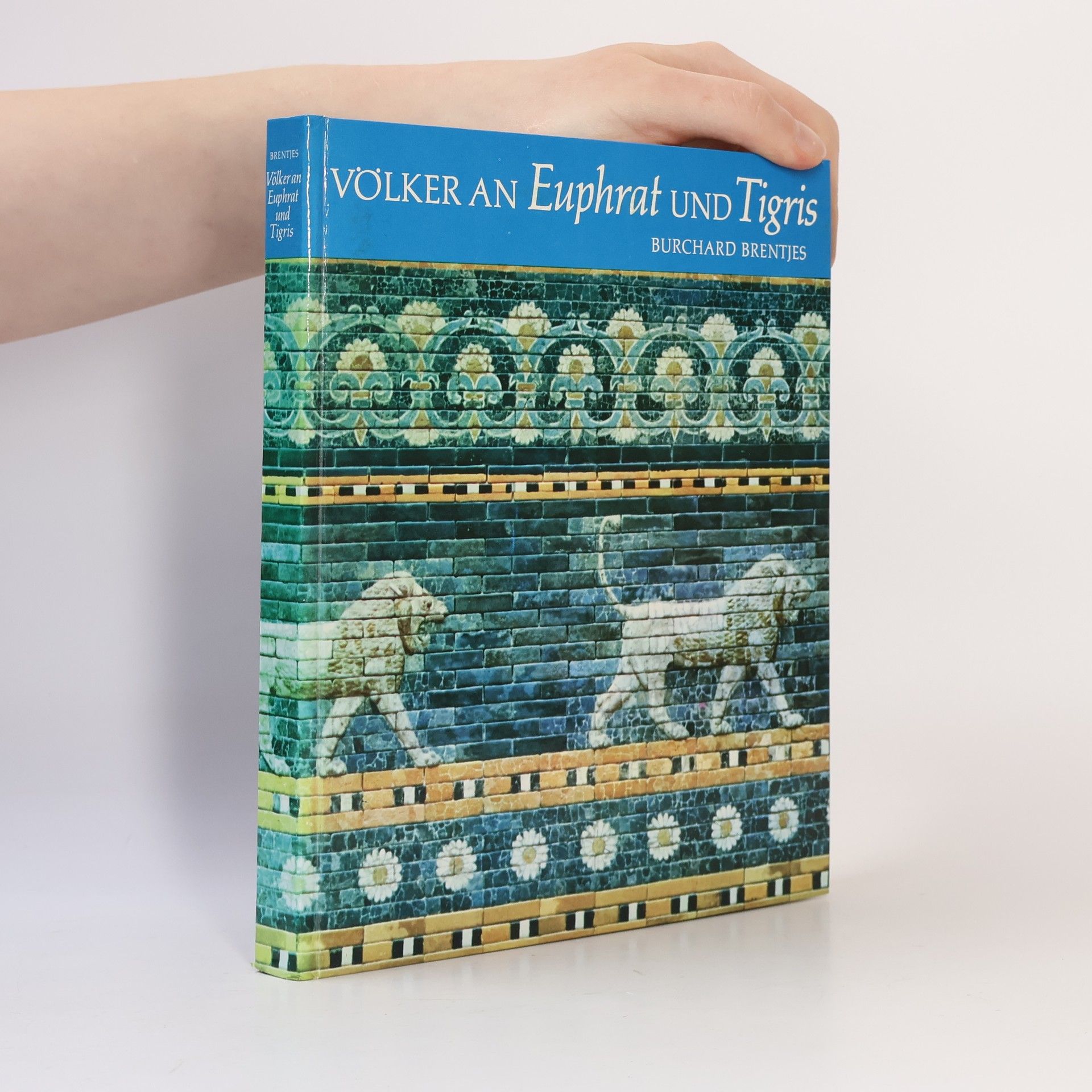 Burchard Brentjes Völker an Euphrat und Tigris