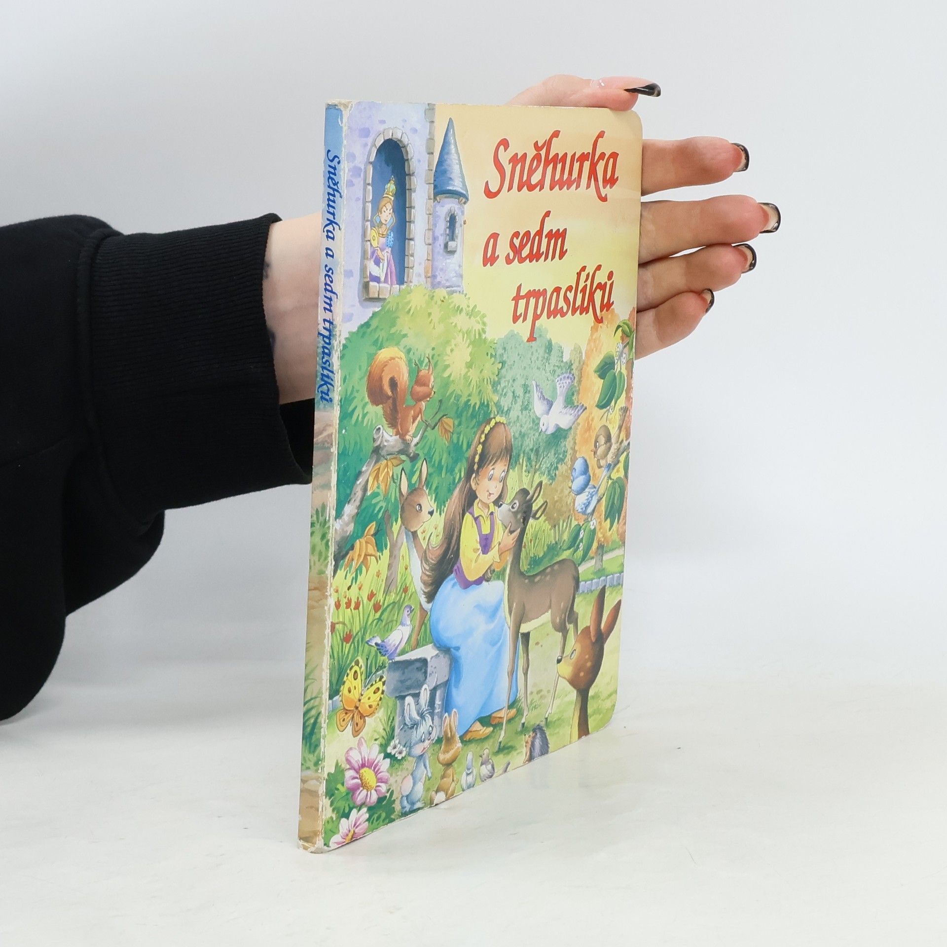 Collectif d'auteurs Sněhurka a sedm trpaslíků