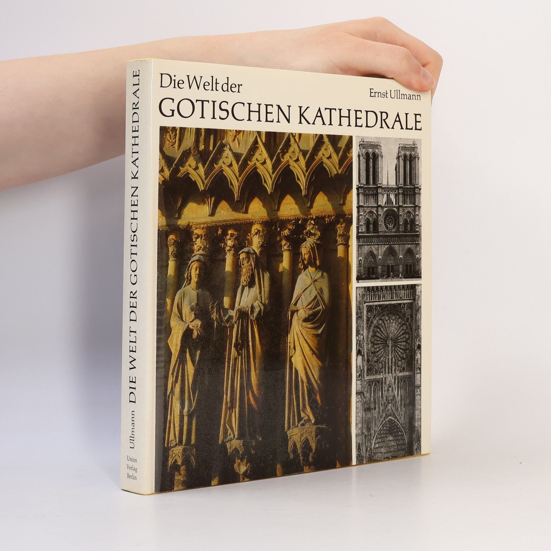 Die Welt der gotischen Kathedrale
