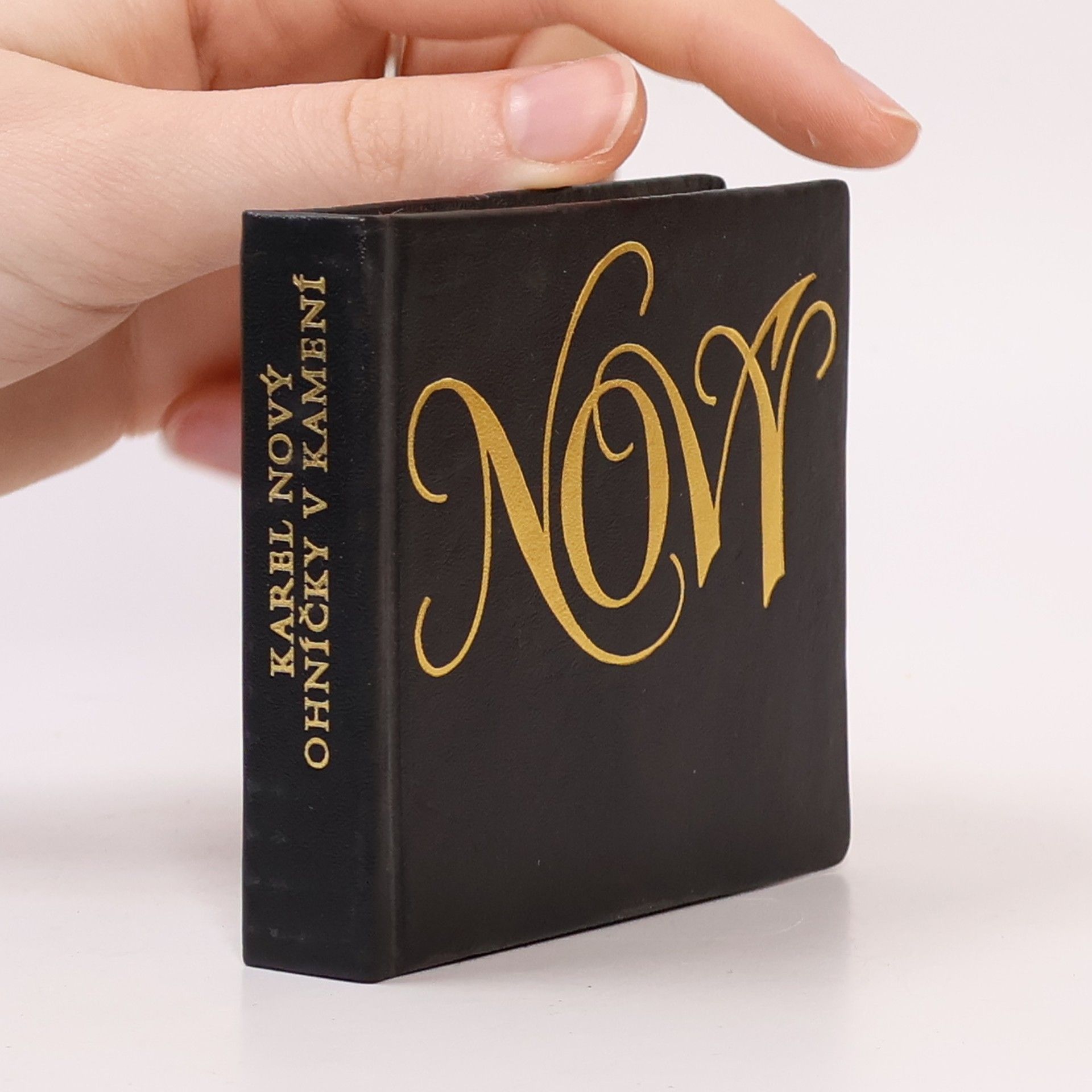 Karel Nový Ohníčky v kamení