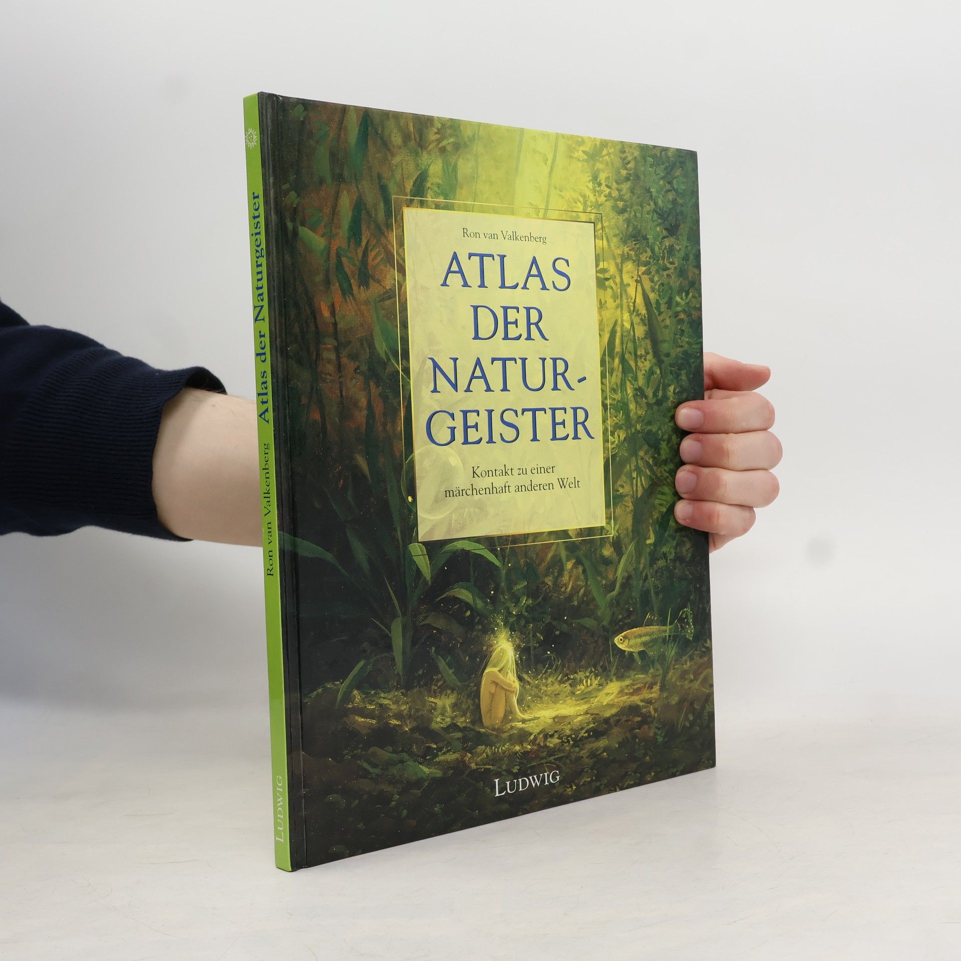 Ron van Valkenberg Atlas der Naturgeister