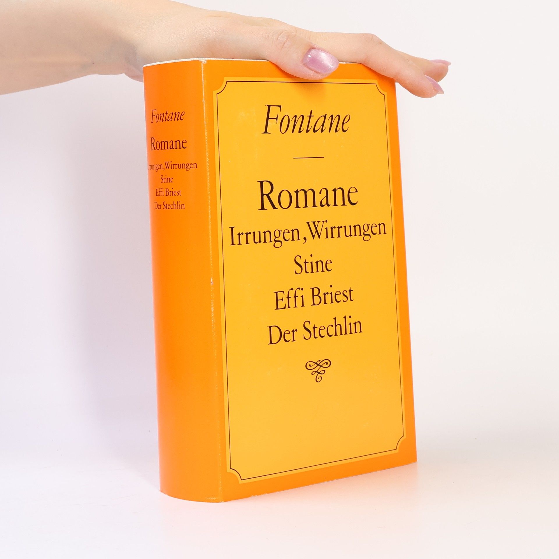 Theodor Fontane Romane Irrungen, Wirrungen Stine Effi Briest Der Stechlin