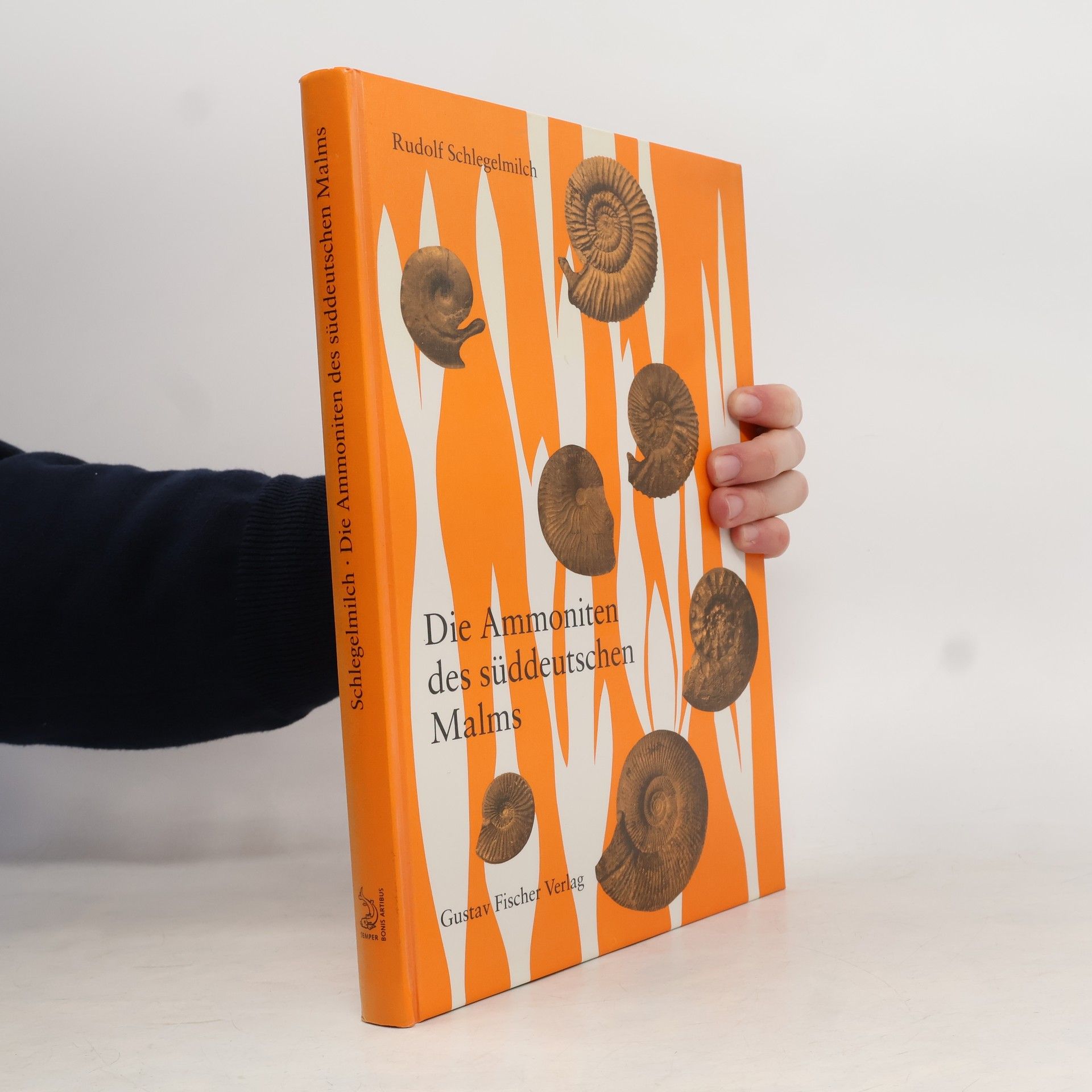 Die Ammoniten des süddeutschen Malms