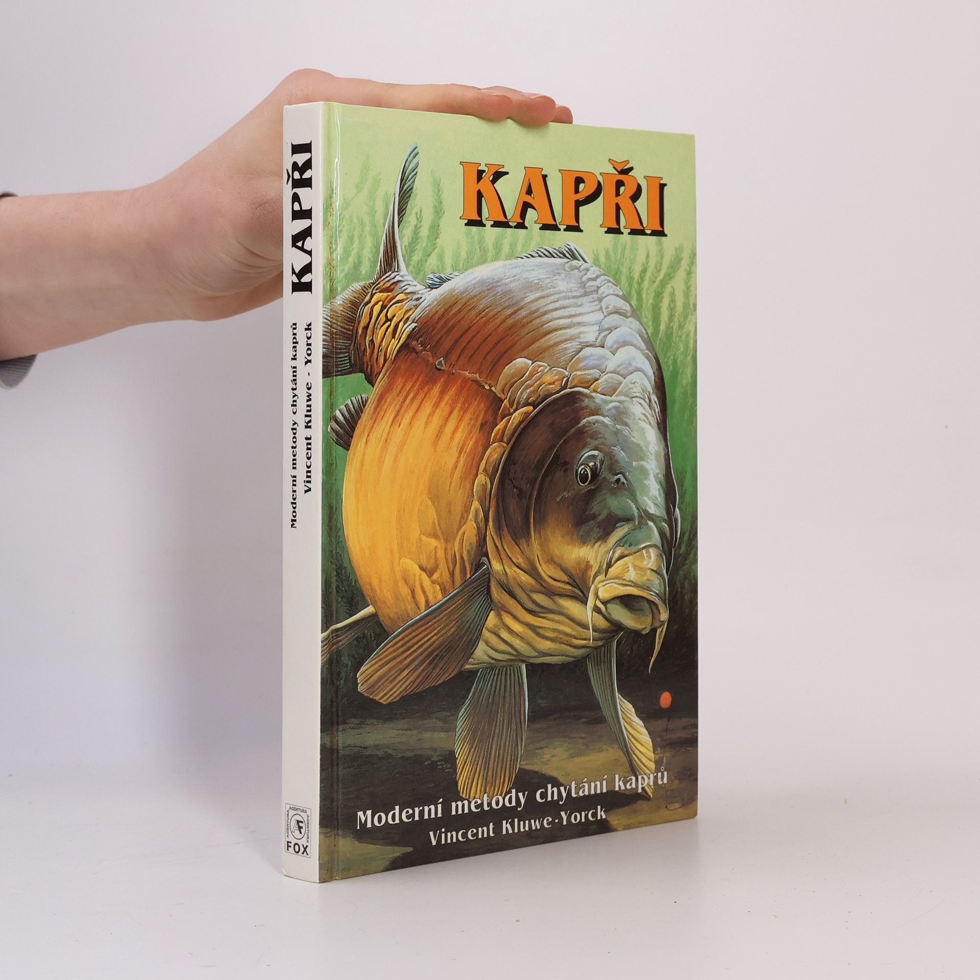 Vincent KluweYorck Kapři. Moderní metody chytání kaprů