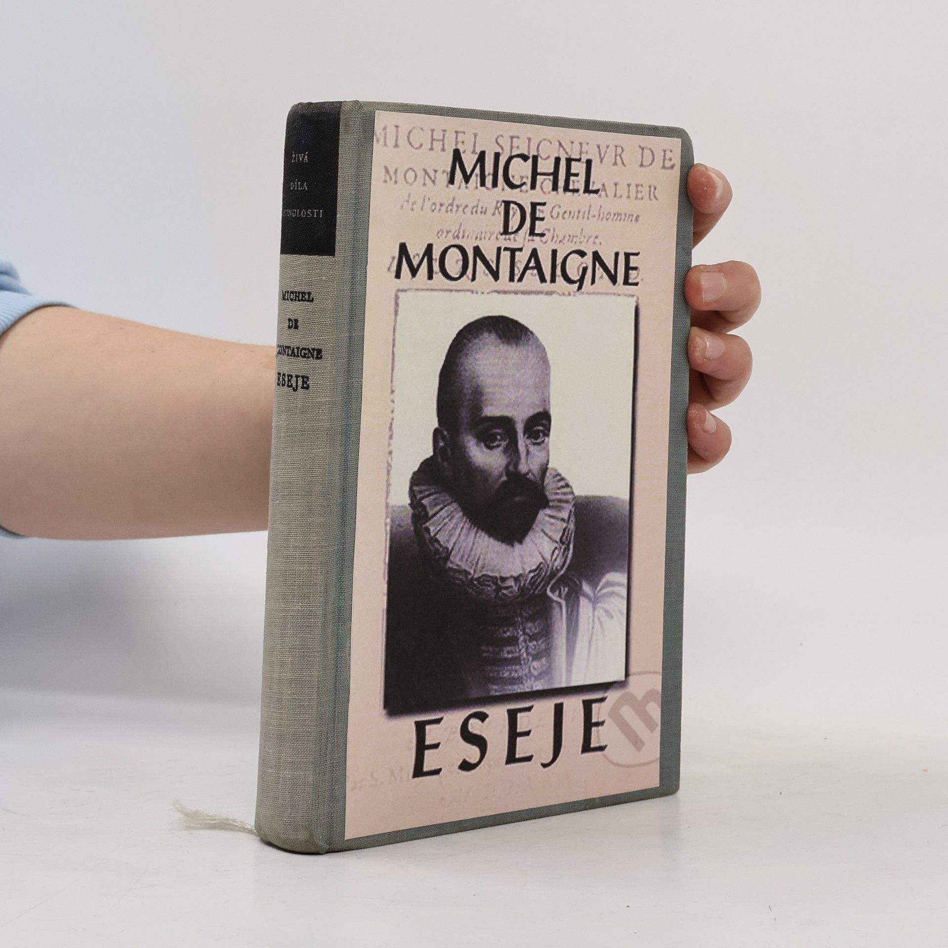 Michel de Montaigne Eseje