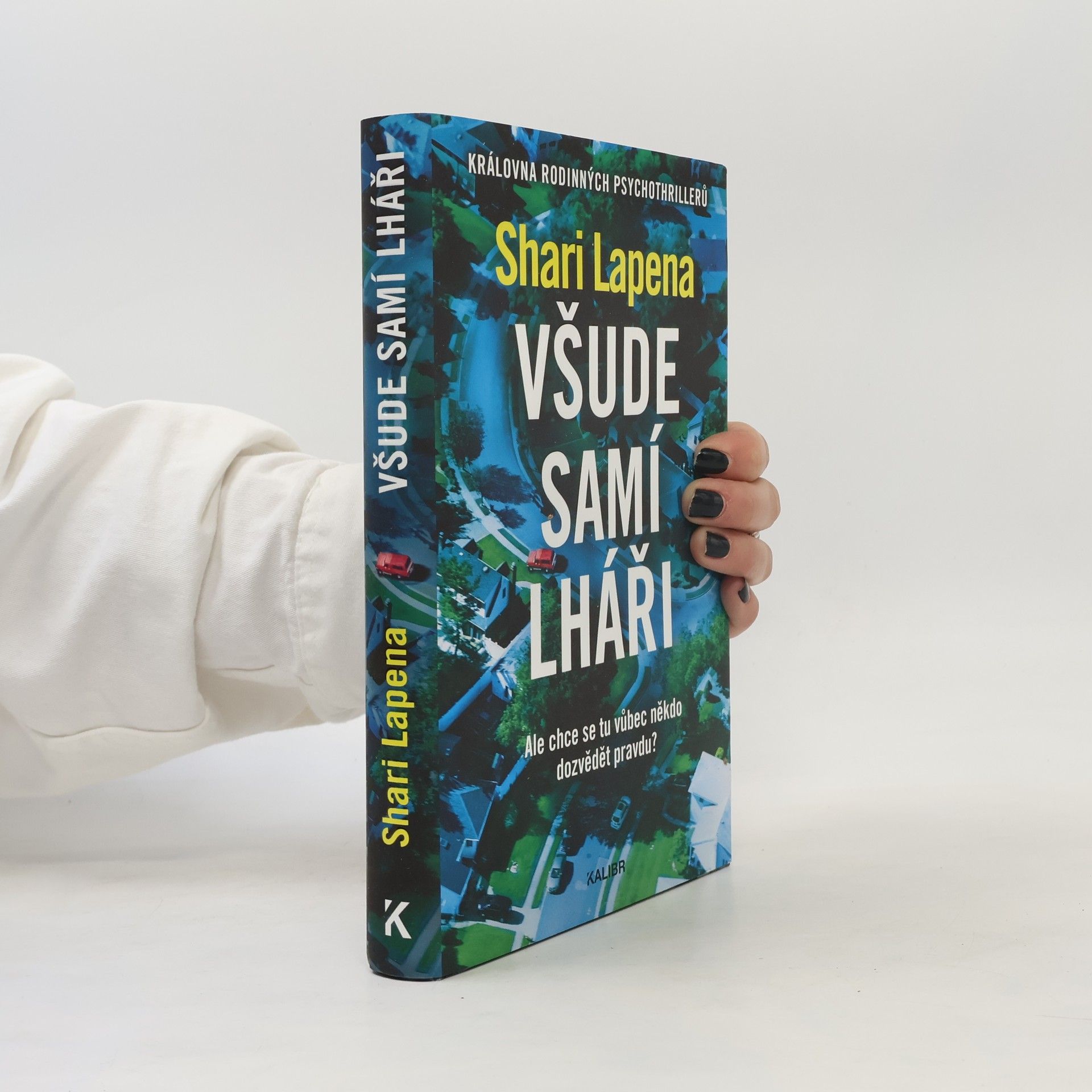 Shari Lapena Všude samí lháři