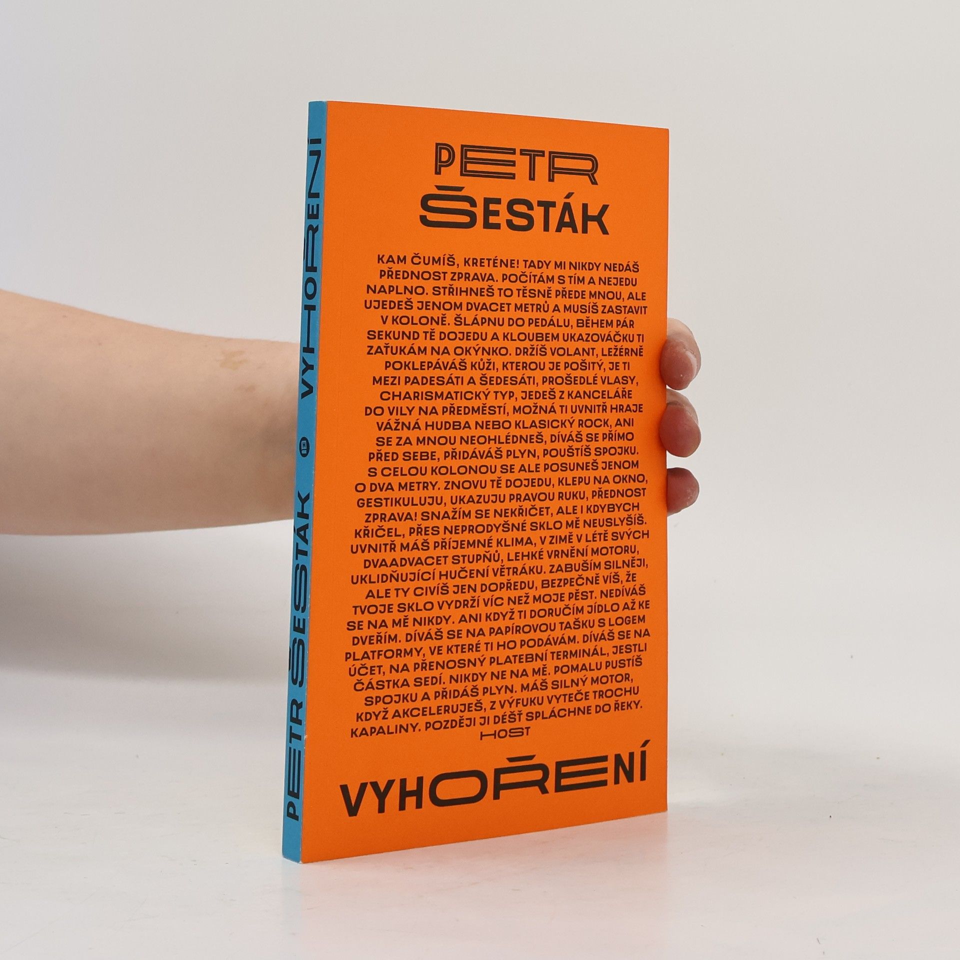 Petr Šesták Vyhoření