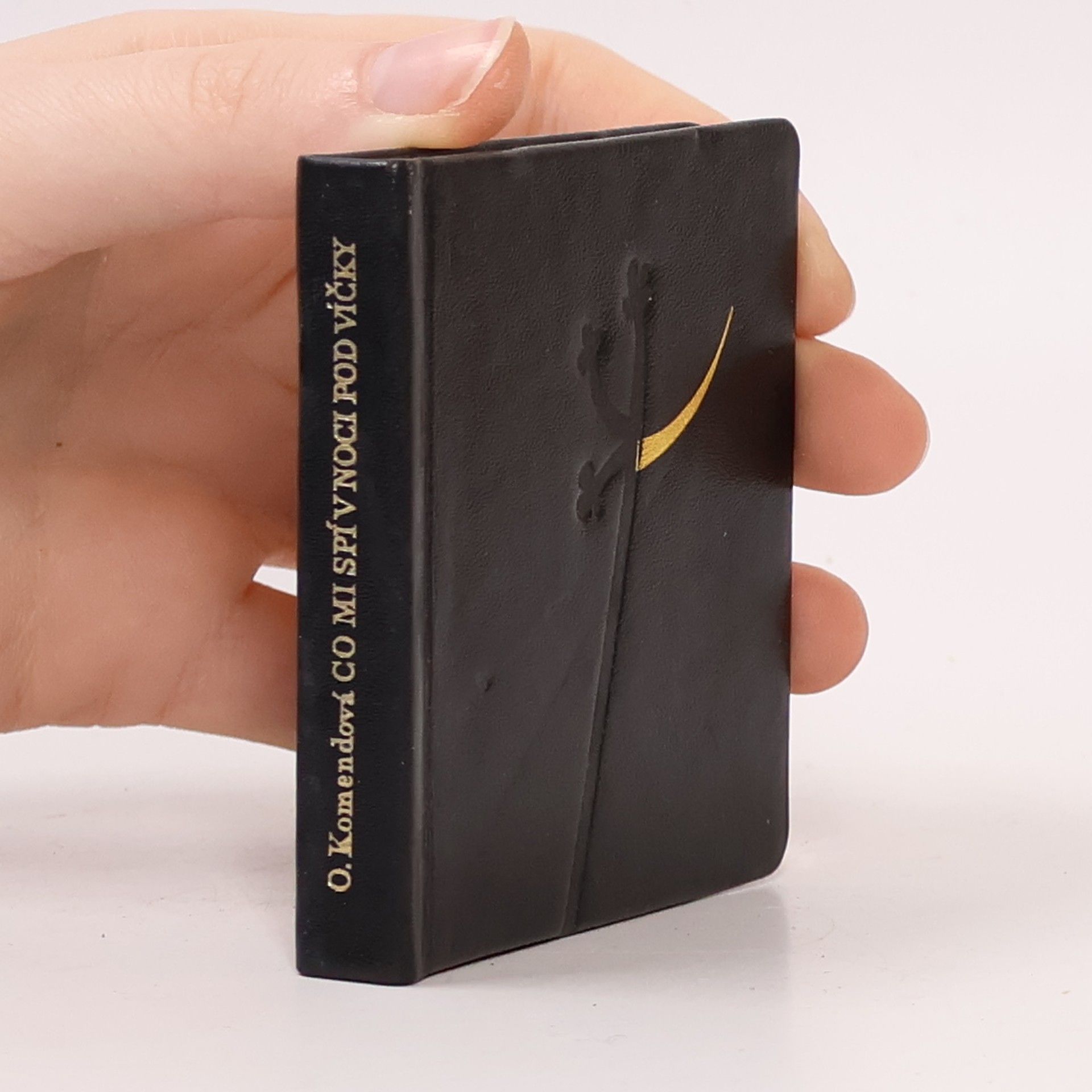 Jaroslav Šerých Co mi spí v noci pod víčky