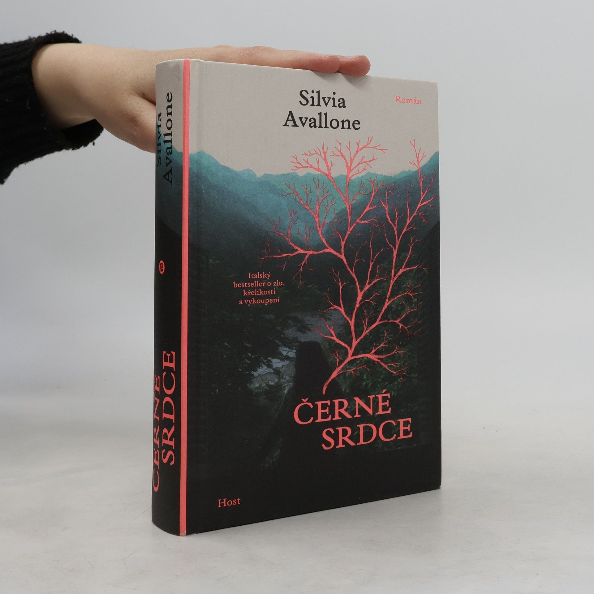 Silvia Avallone Černé srdce