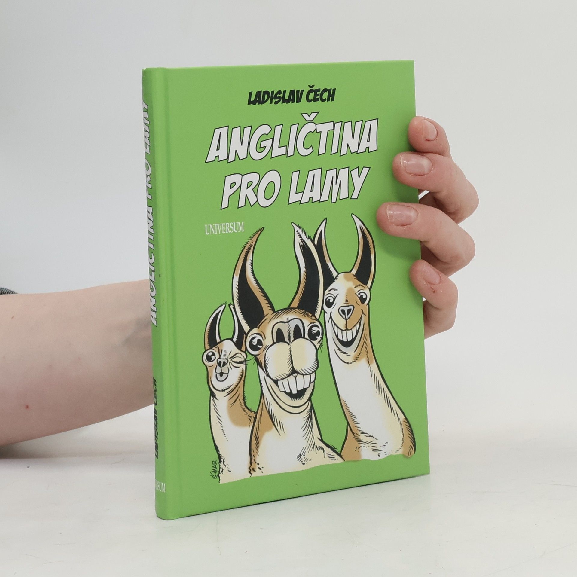 Ladislav Čech Angličtina pro lamy
