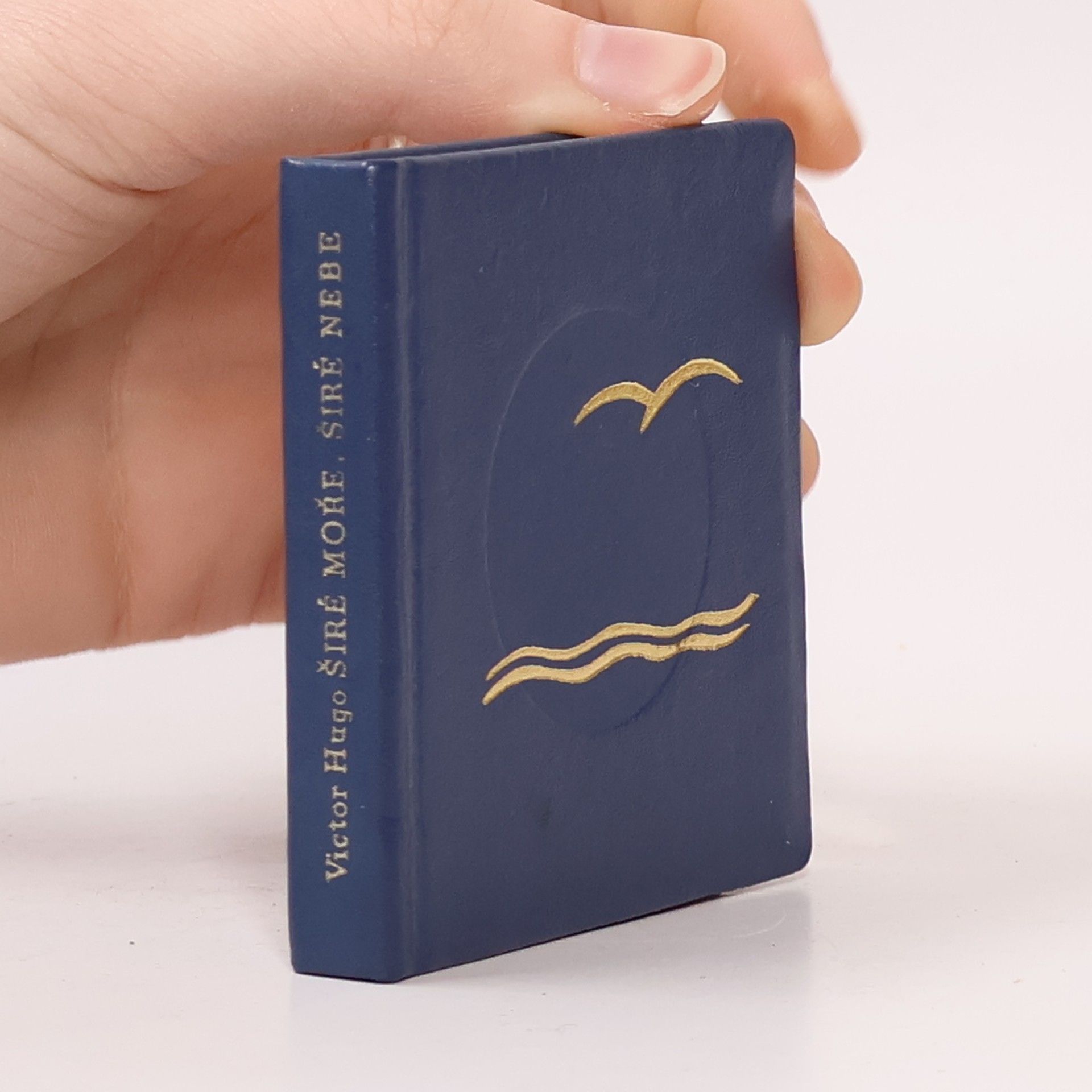 Zdeněk Hrbata Širé moře, širé nebe